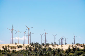 A row of sleek wind turbines turning gently against a bright blue sky.