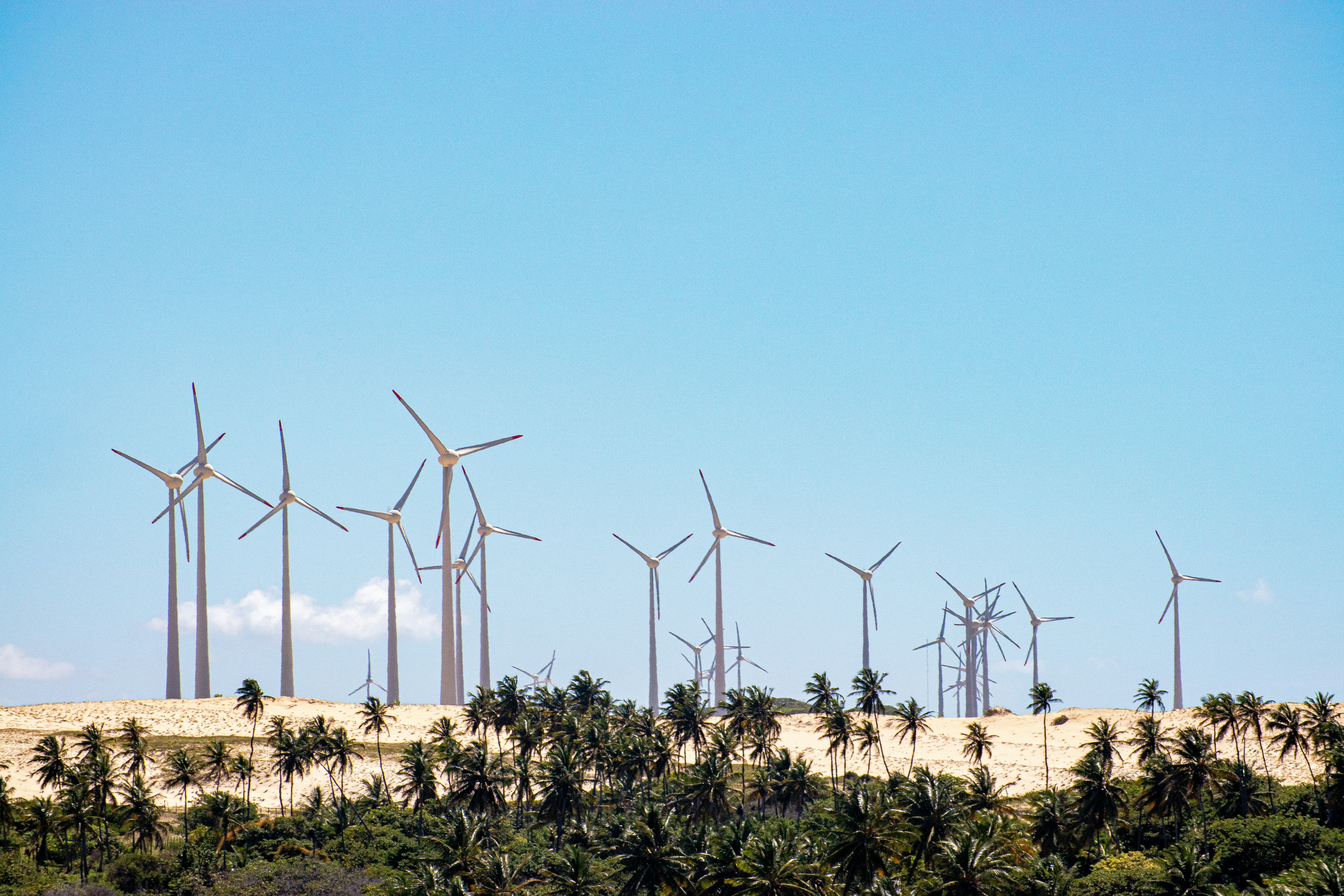 wind turbines on green grass field under blue sky during daytime