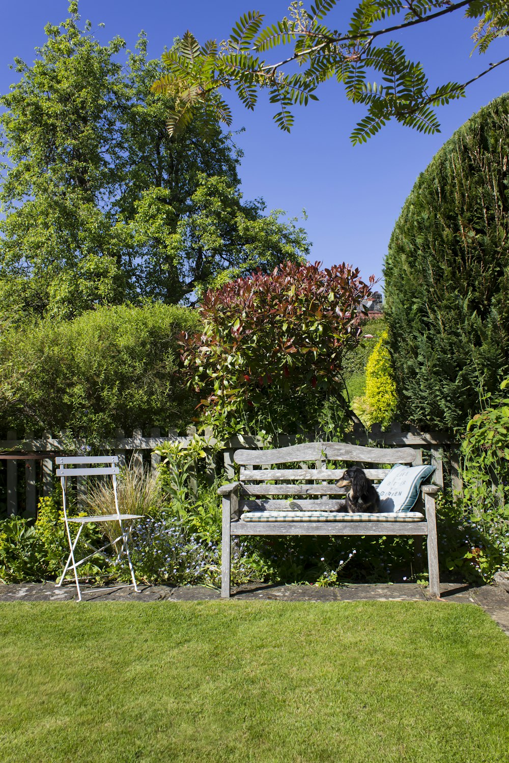 white wooden bench near green trees during daytime