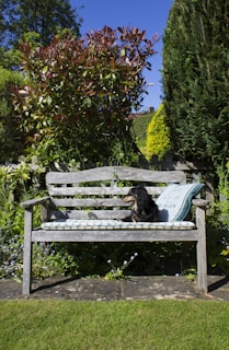 black labrador retriever lying on blue and white bench