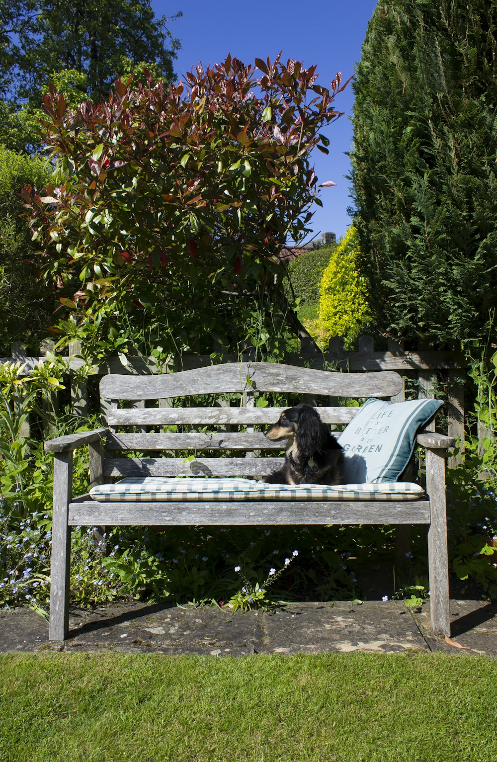 Labrador Retriever noir couché sur un banc bleu et blanc