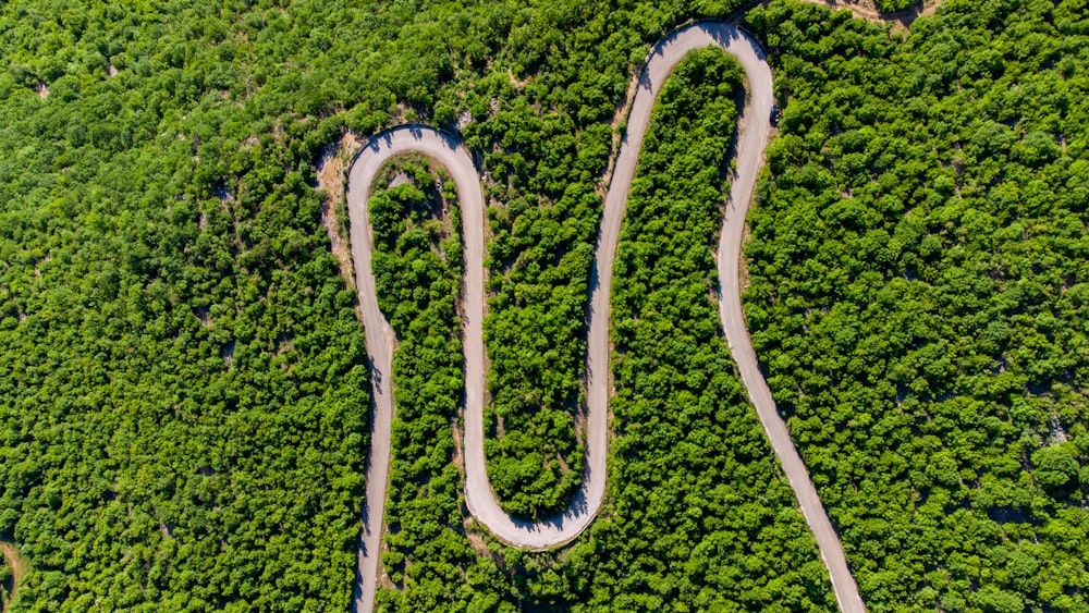 aerial view of green grass field