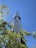 A large rocket stands tall against a clear blue sky, partially obscured by the green leaves of a nearby tree. The rocket is marked with an American flag and features black and white sections.