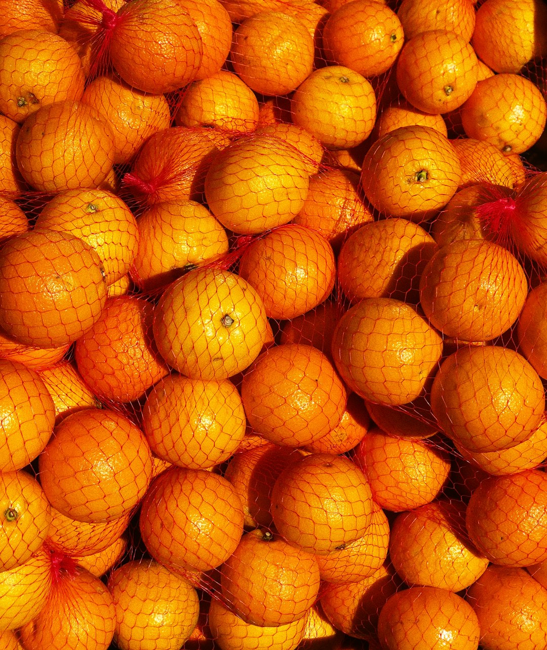 orange fruits on white ceramic plate