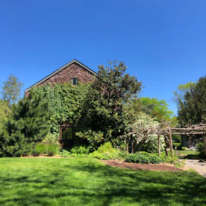The exterior of Vine Hill Advisory LLP Chambers' office building on a sunny day.