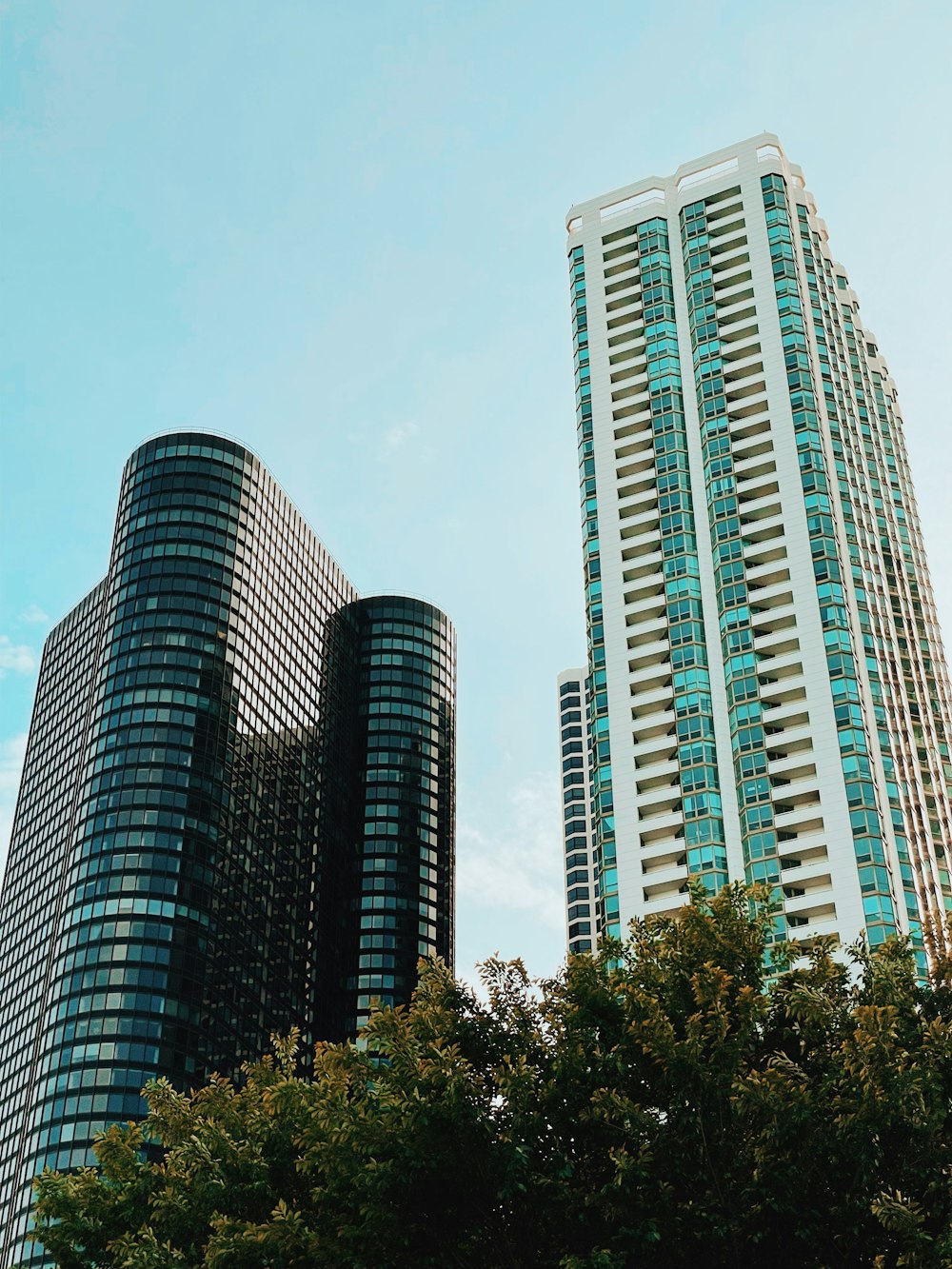 white and blue high rise building