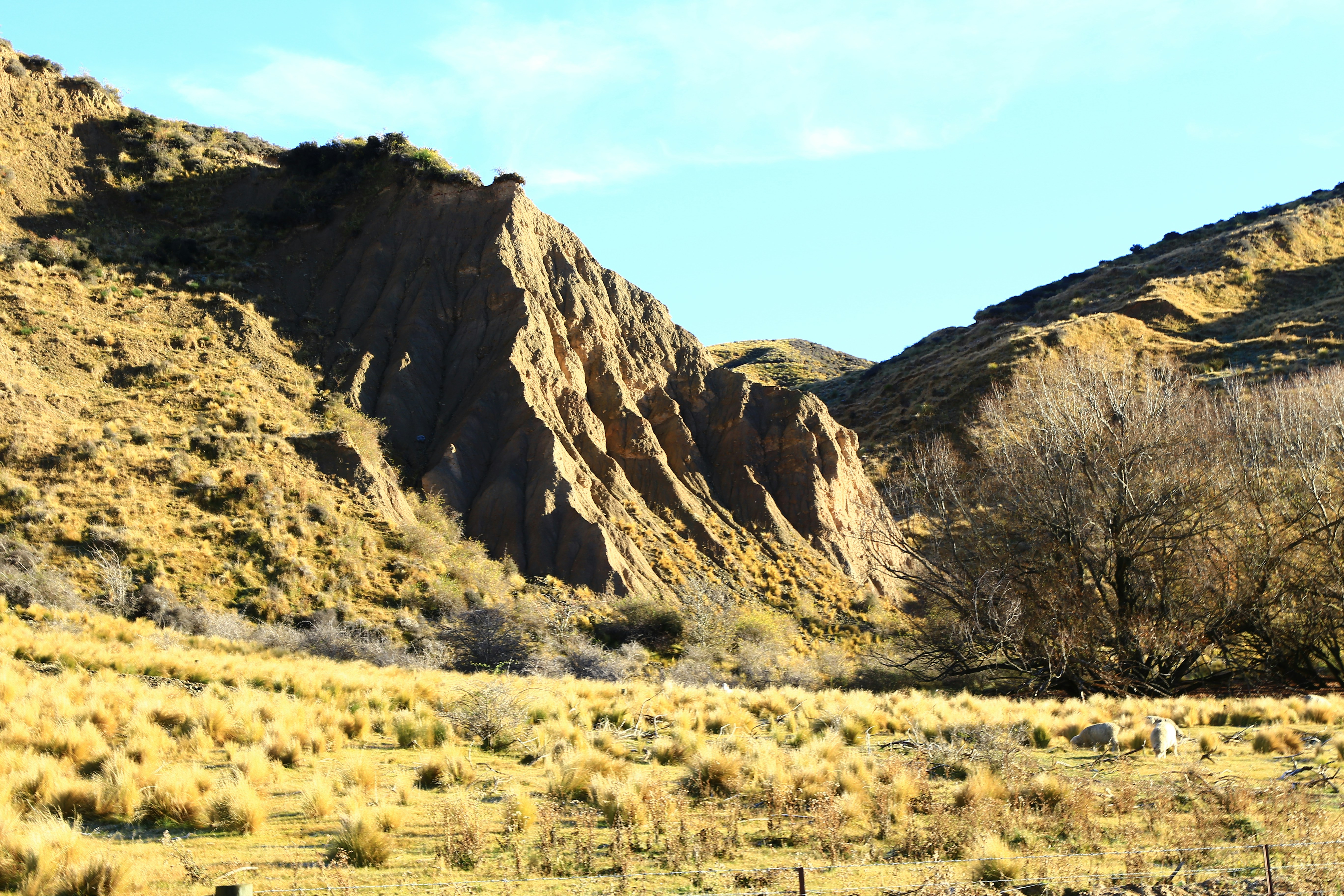 Photo by splashabout