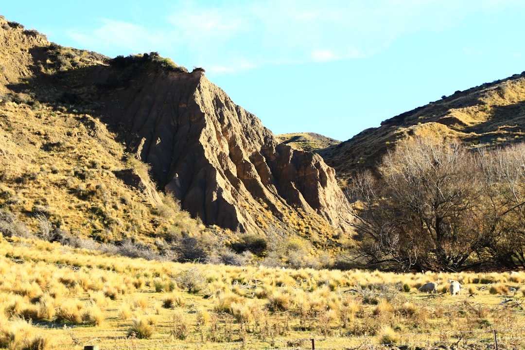 brown and green mountain under blue sky during daytime