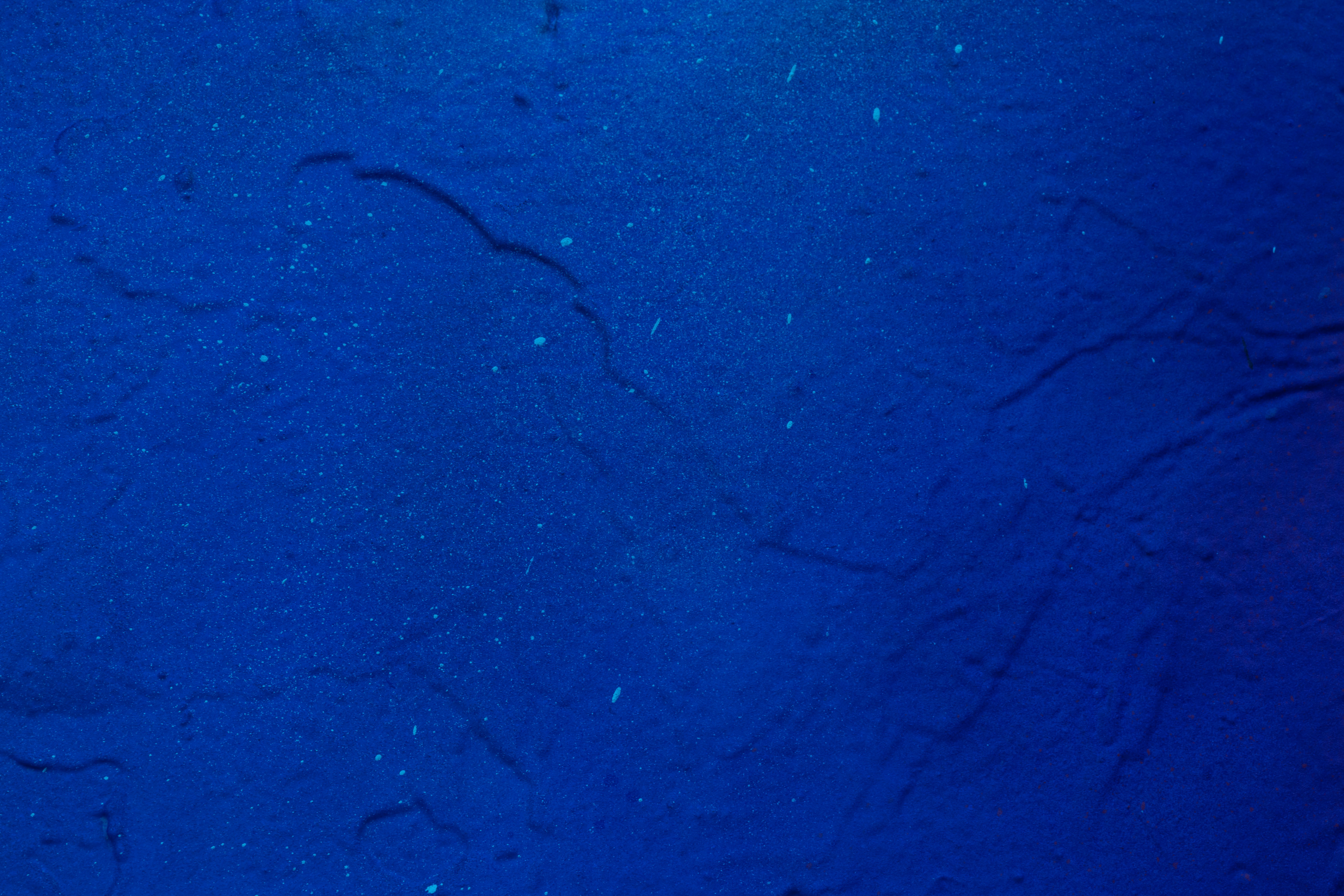 Photo by greg_rosenke