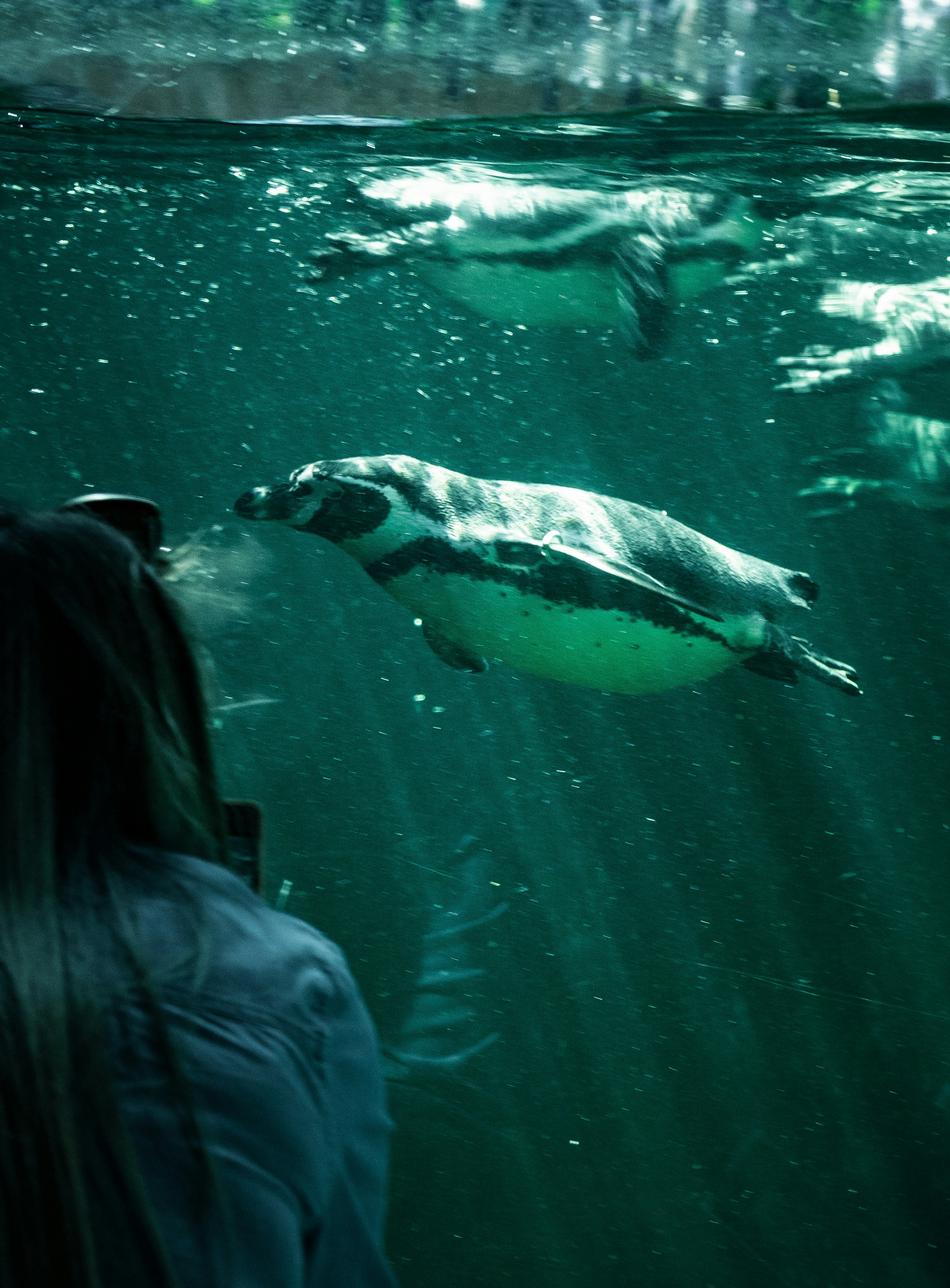 Photo by benjaminmerkle