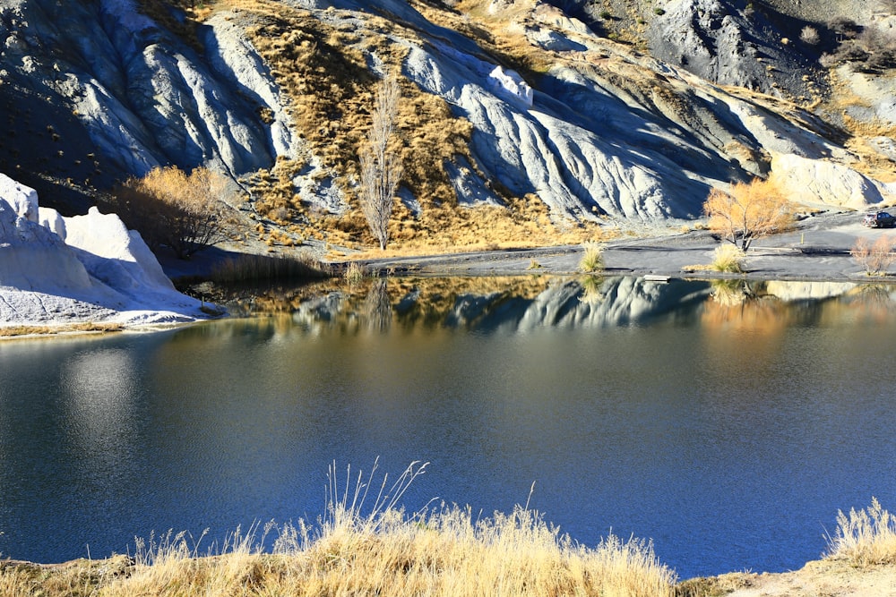 Hierba marrón cerca del lago y la montaña cubierta de nieve durante el día