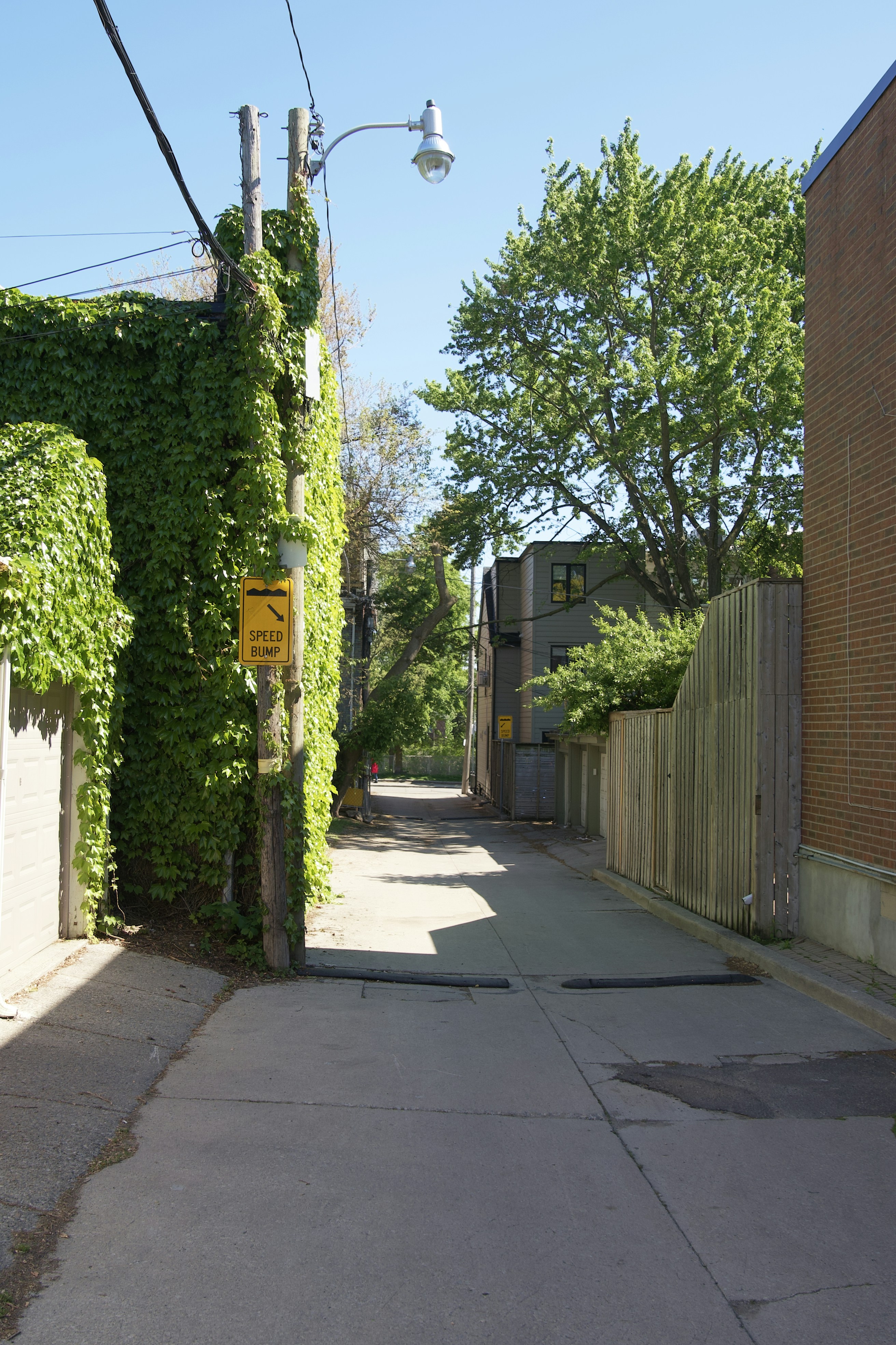 Photo by ycbrphotography