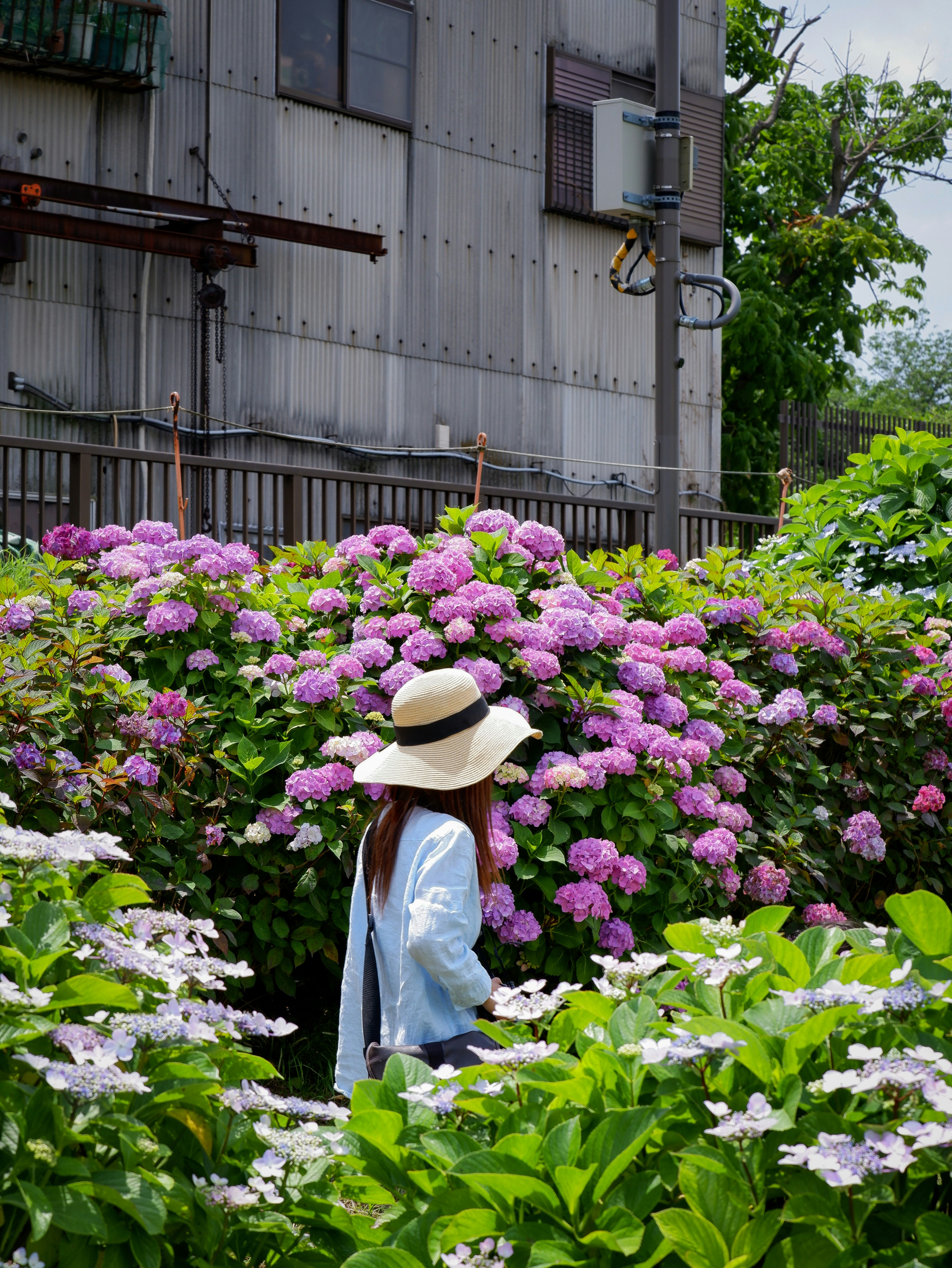 woman in white long sleeve shirt and brown hat standing in front of purple flowers