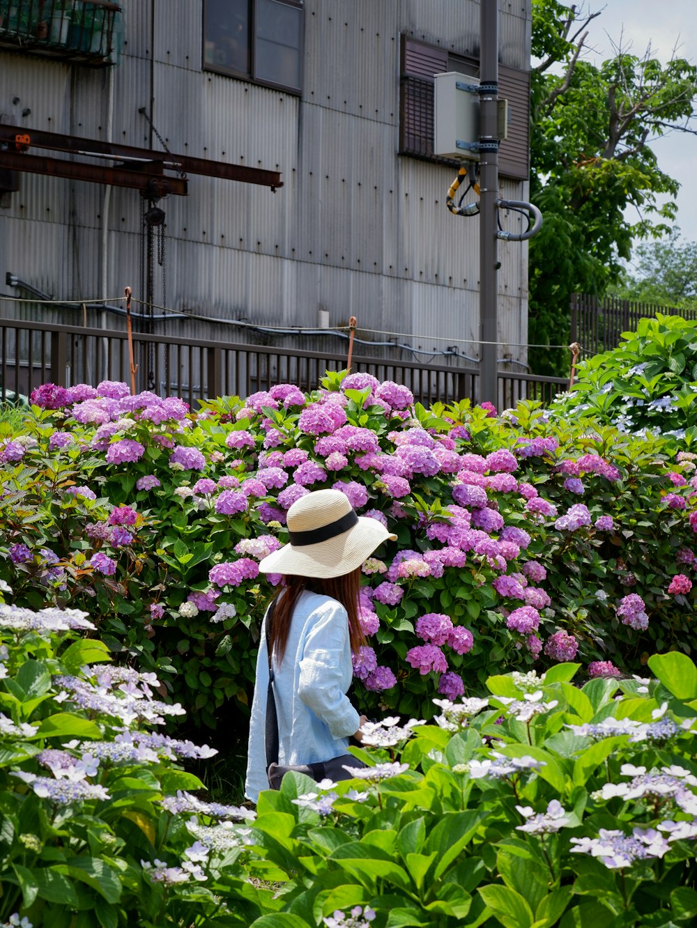 woman in white long sleeve shirt and brown hat standing in front of purple flowers
