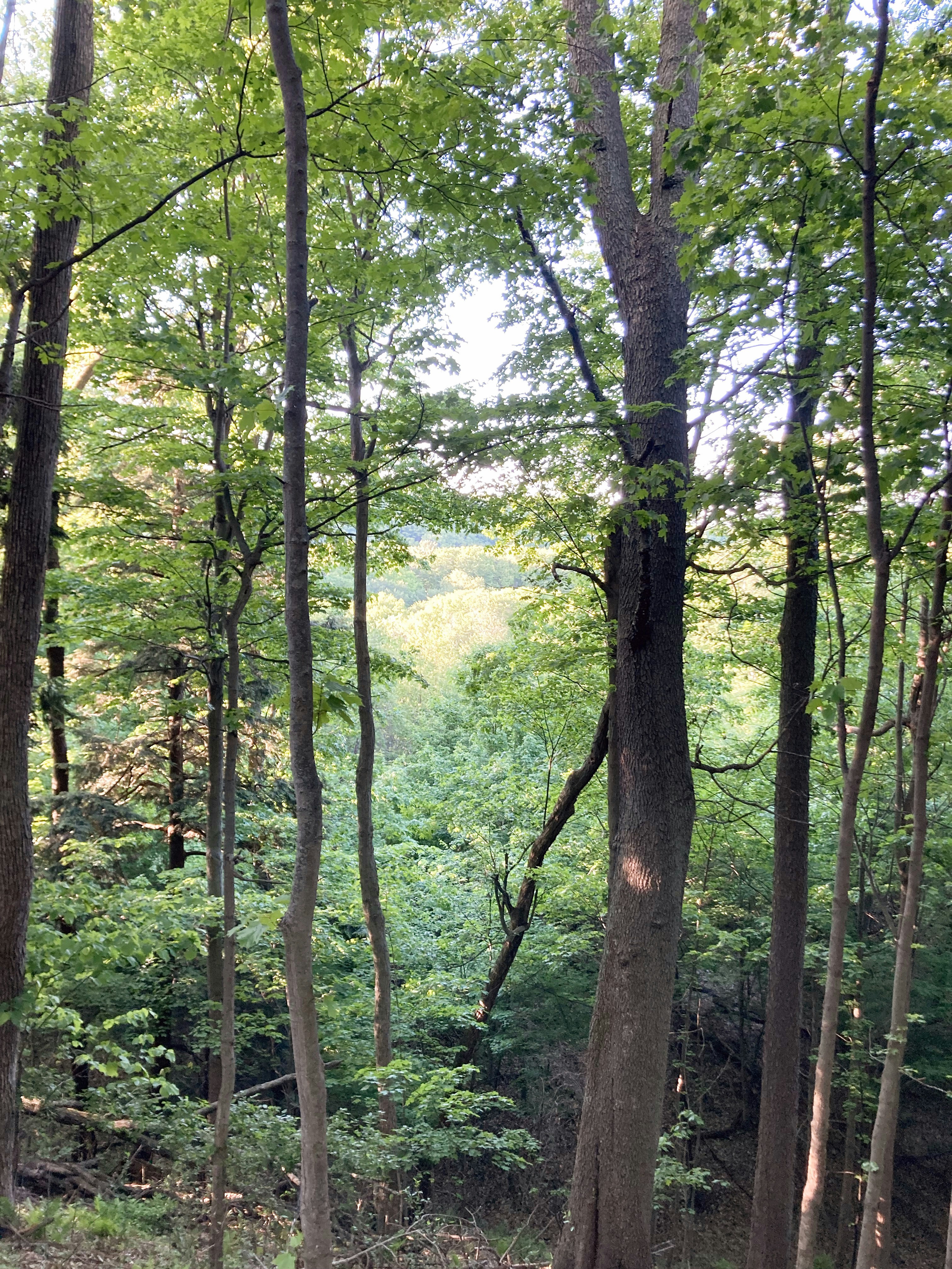 Photo by bradybronson