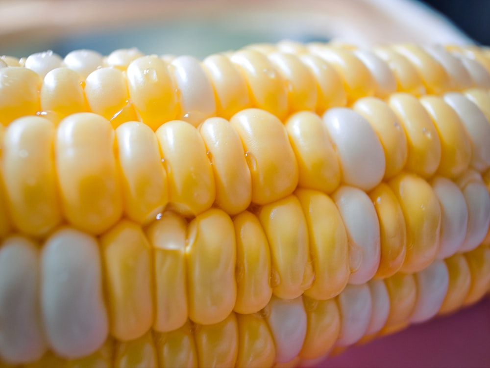 yellow corn in close up photography