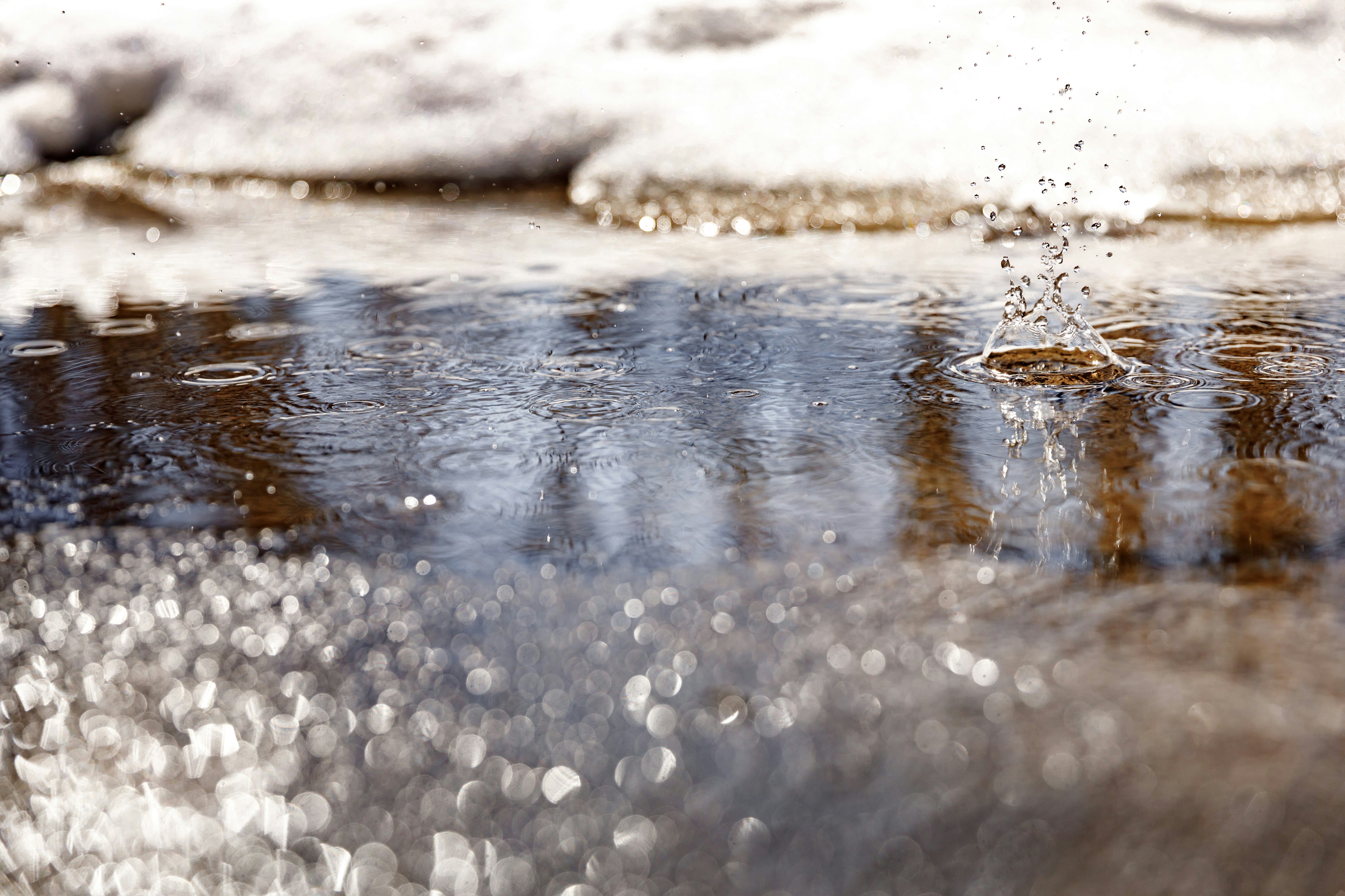 Photo by thephotographermom