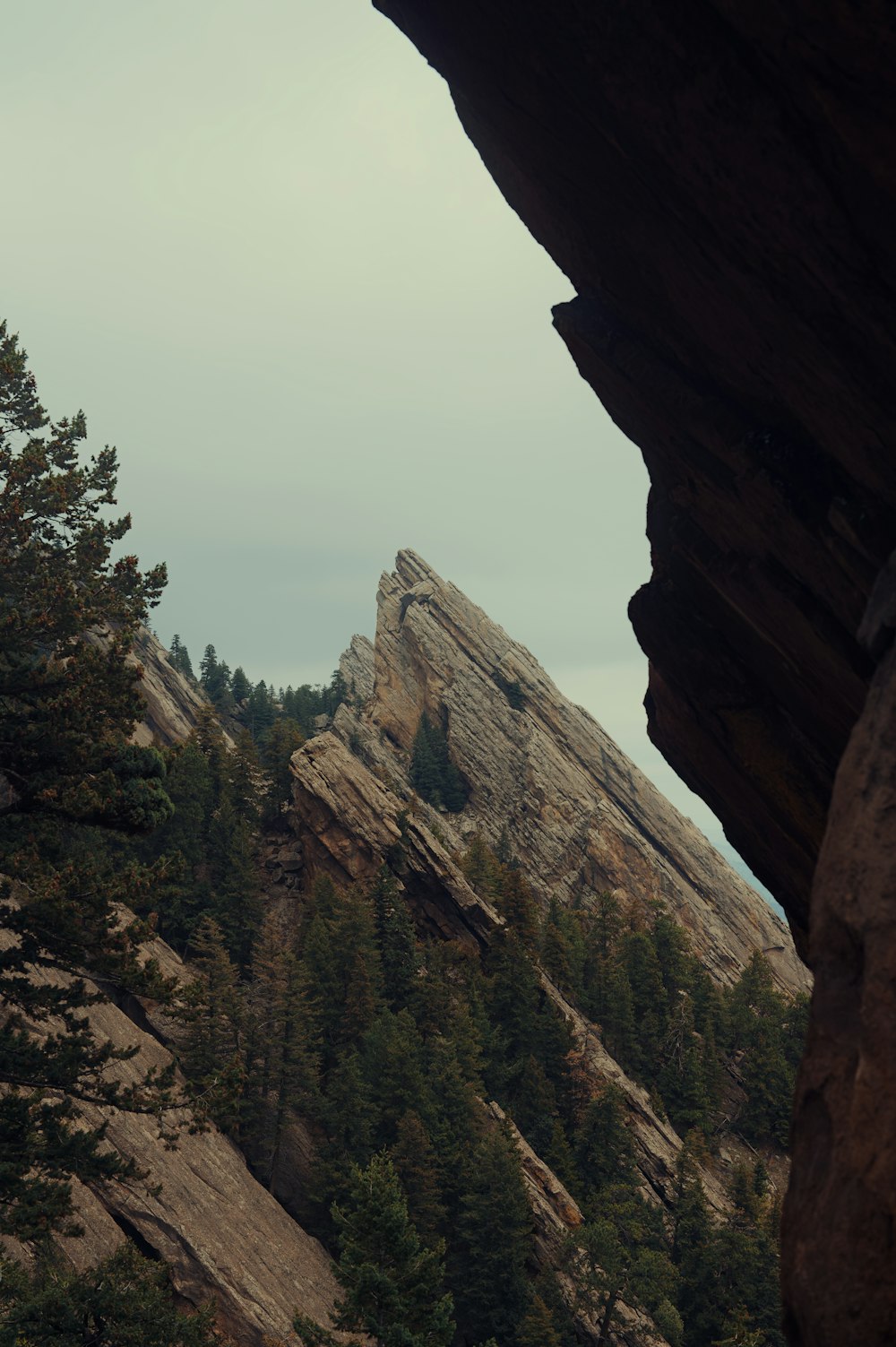 green trees on brown rocky mountain during daytime