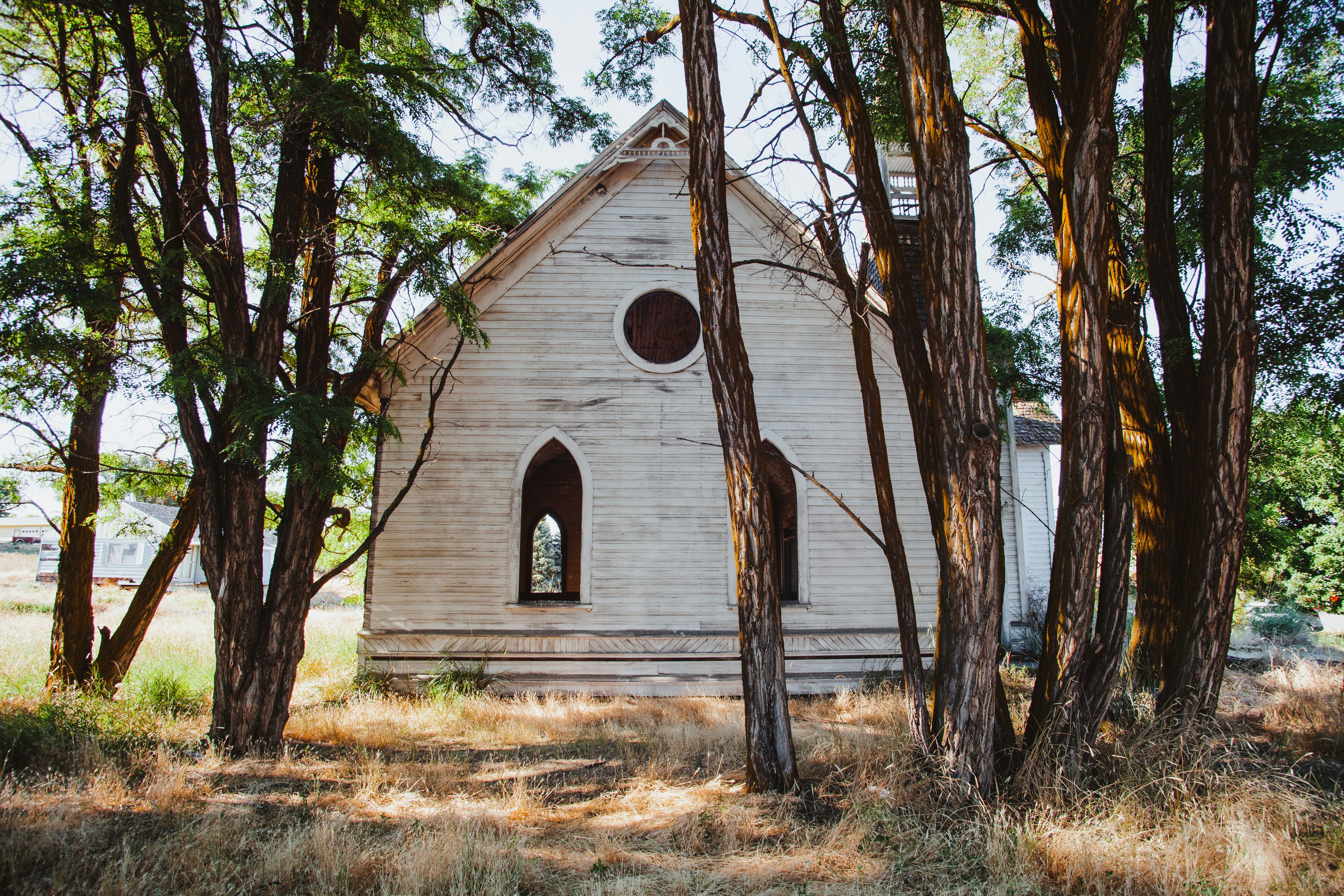 brown wooden house near bare trees during daytime