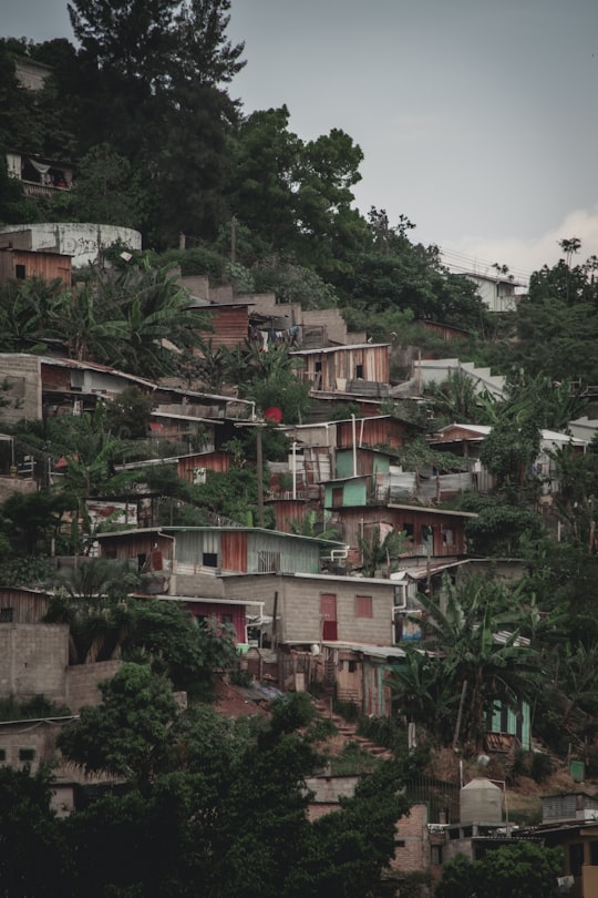 green trees near brown and white concrete houses during daytime in Tegucigalpa Honduras
