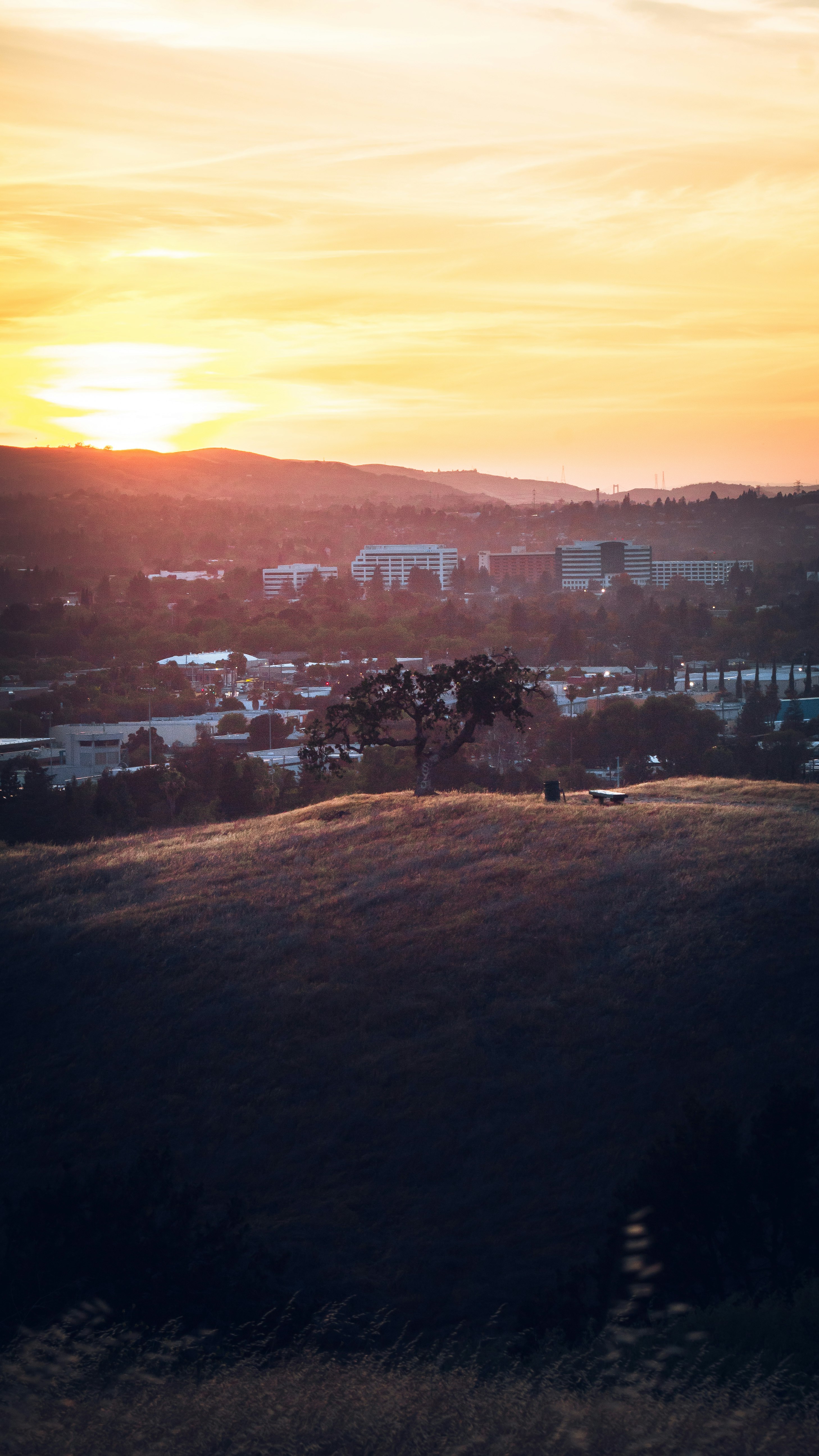 city skyline during golden hour