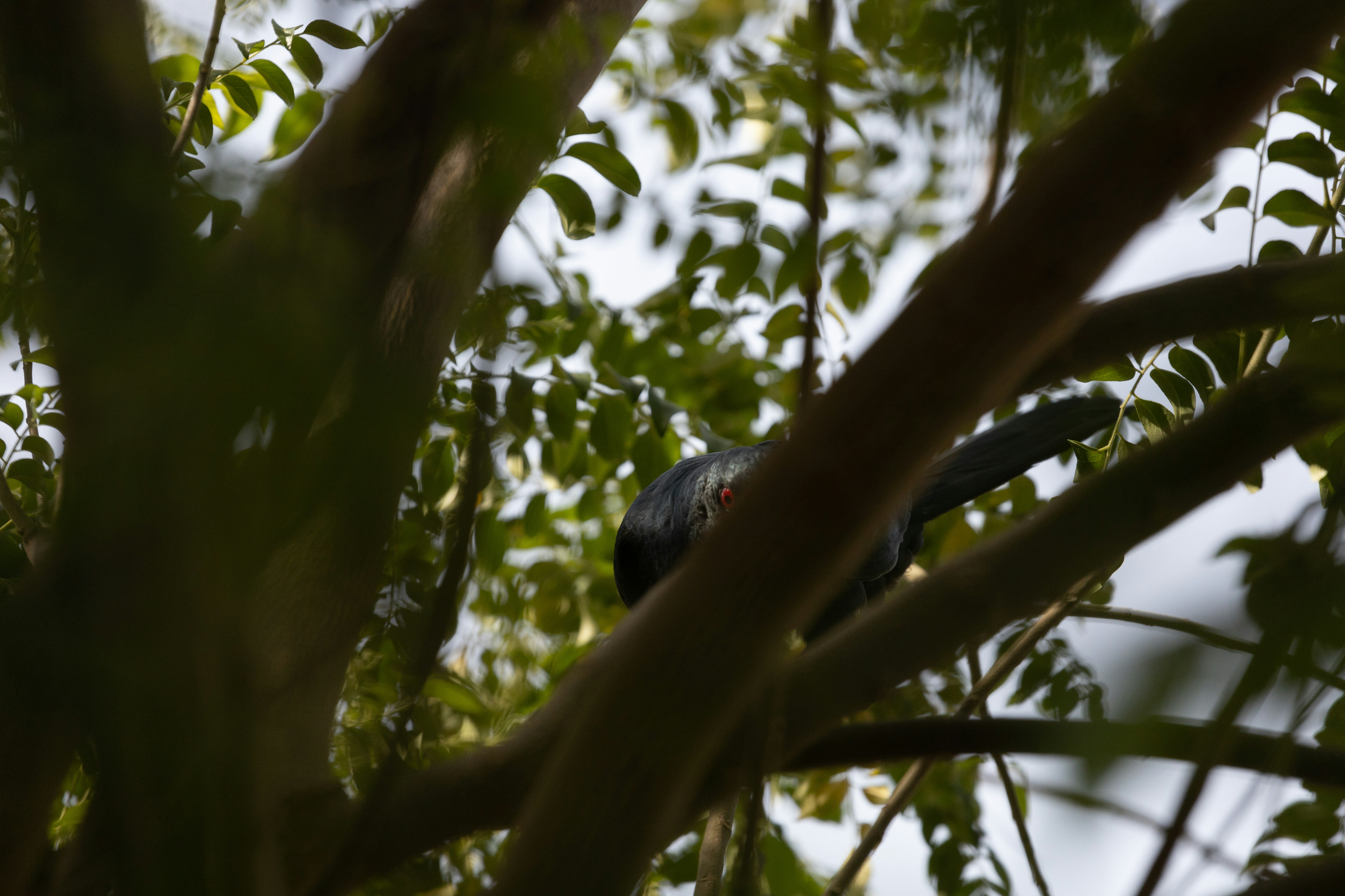 Photo by wildandbeyondbyvivek