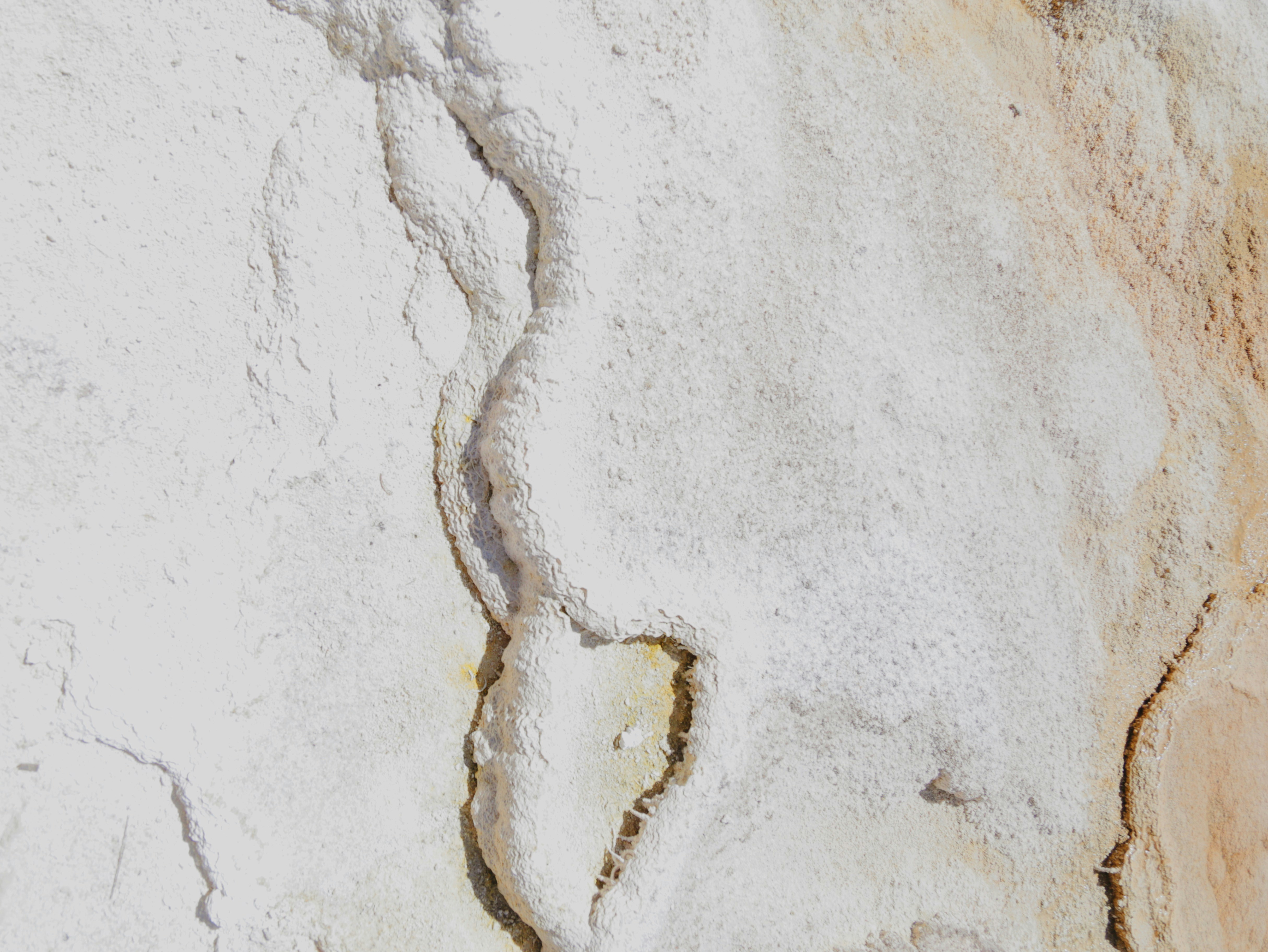 Photo by levierainey