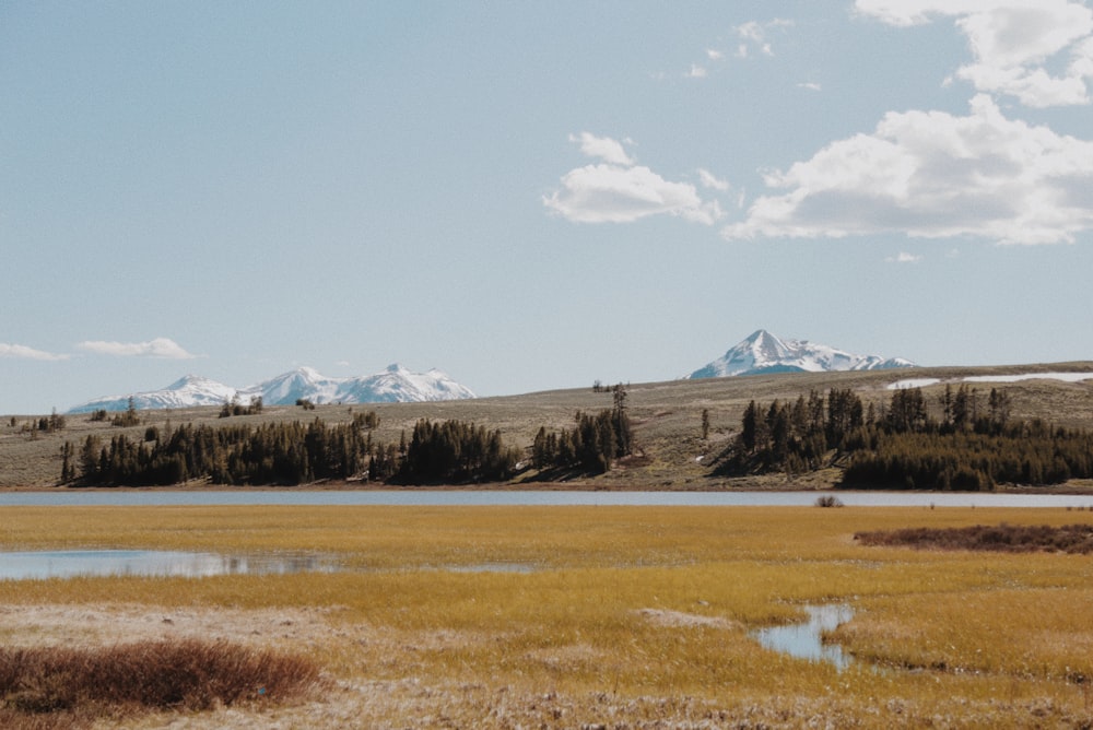 green grass field near snow covered mountain during daytime