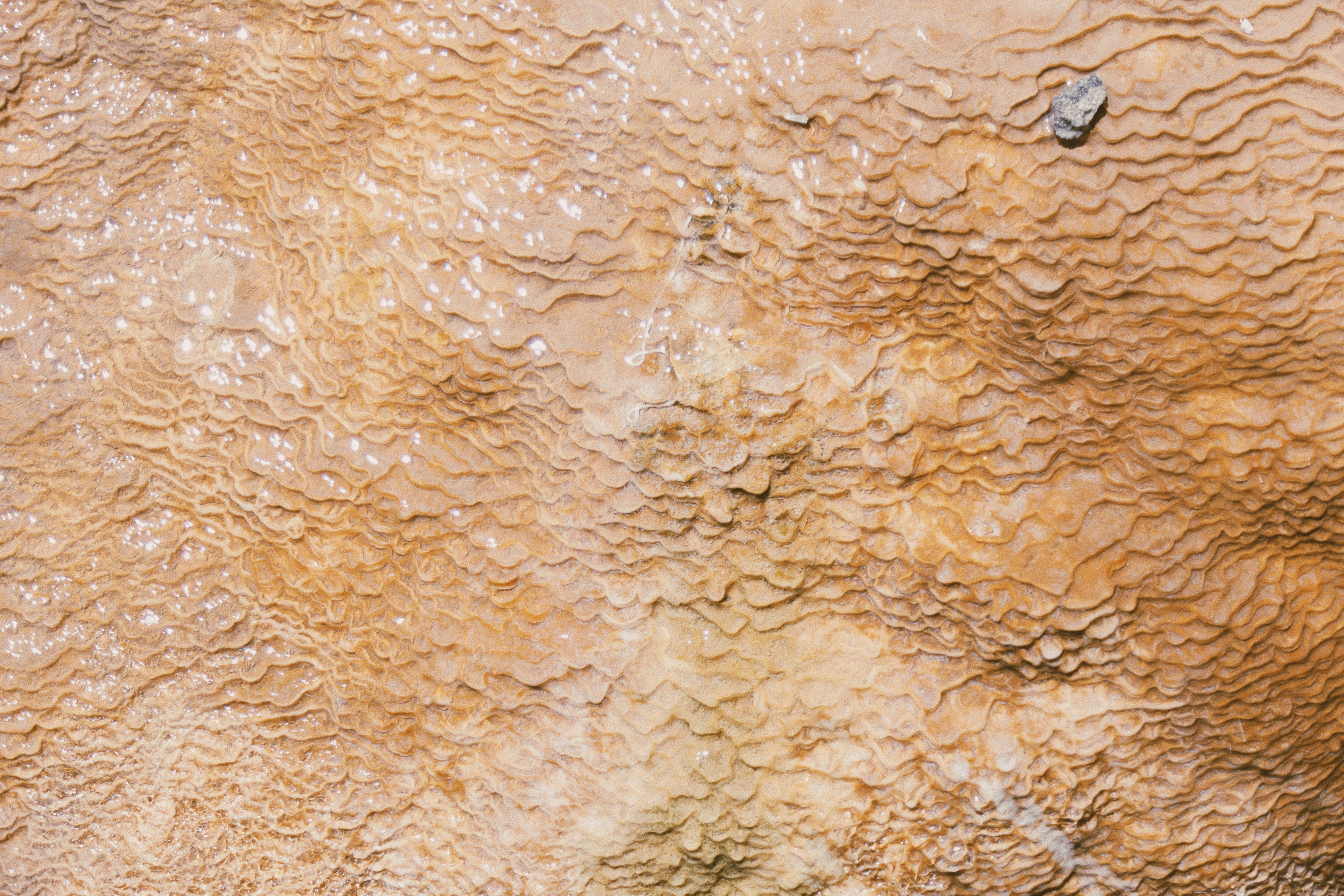 Photo by levierainey