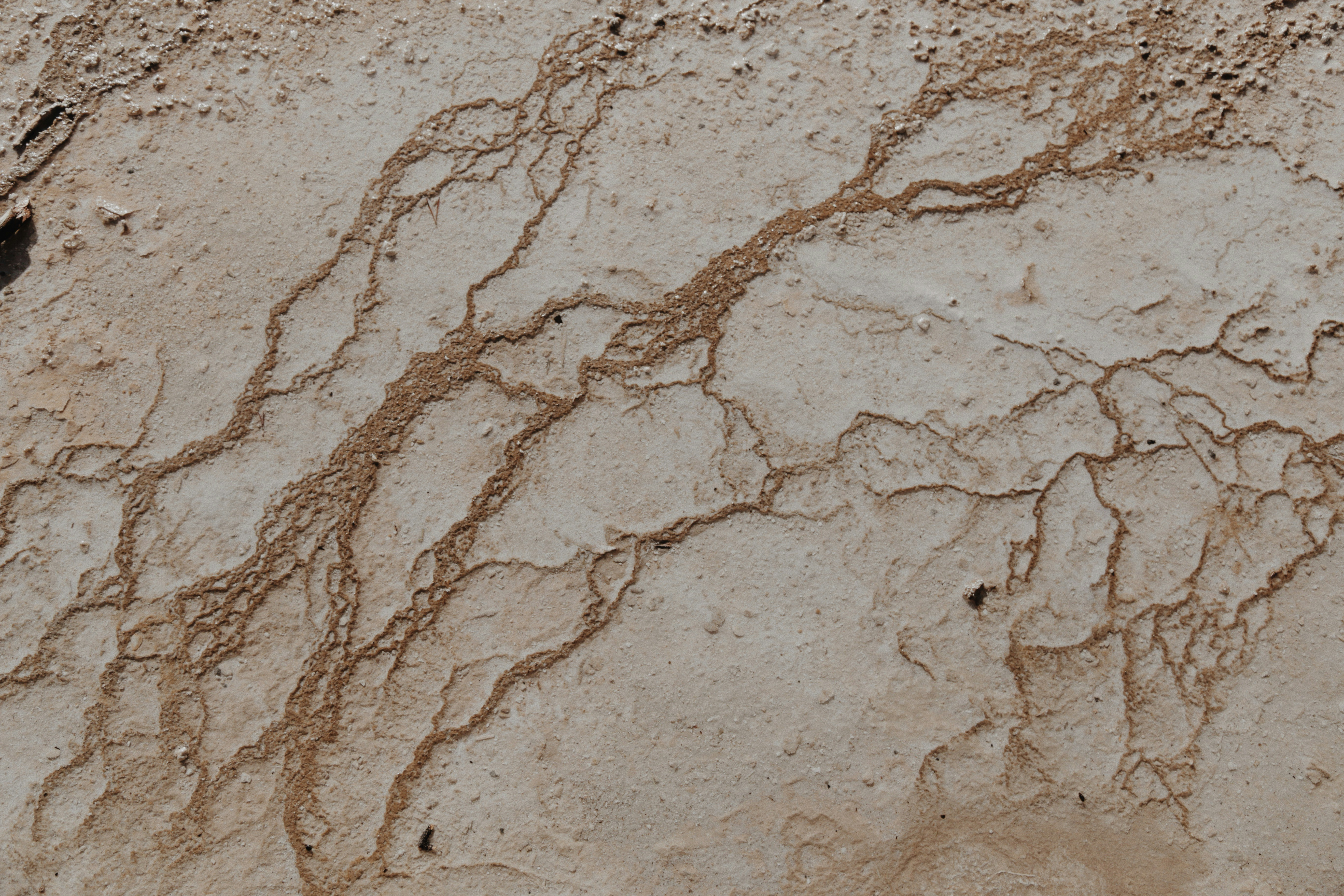 Photo by levierainey