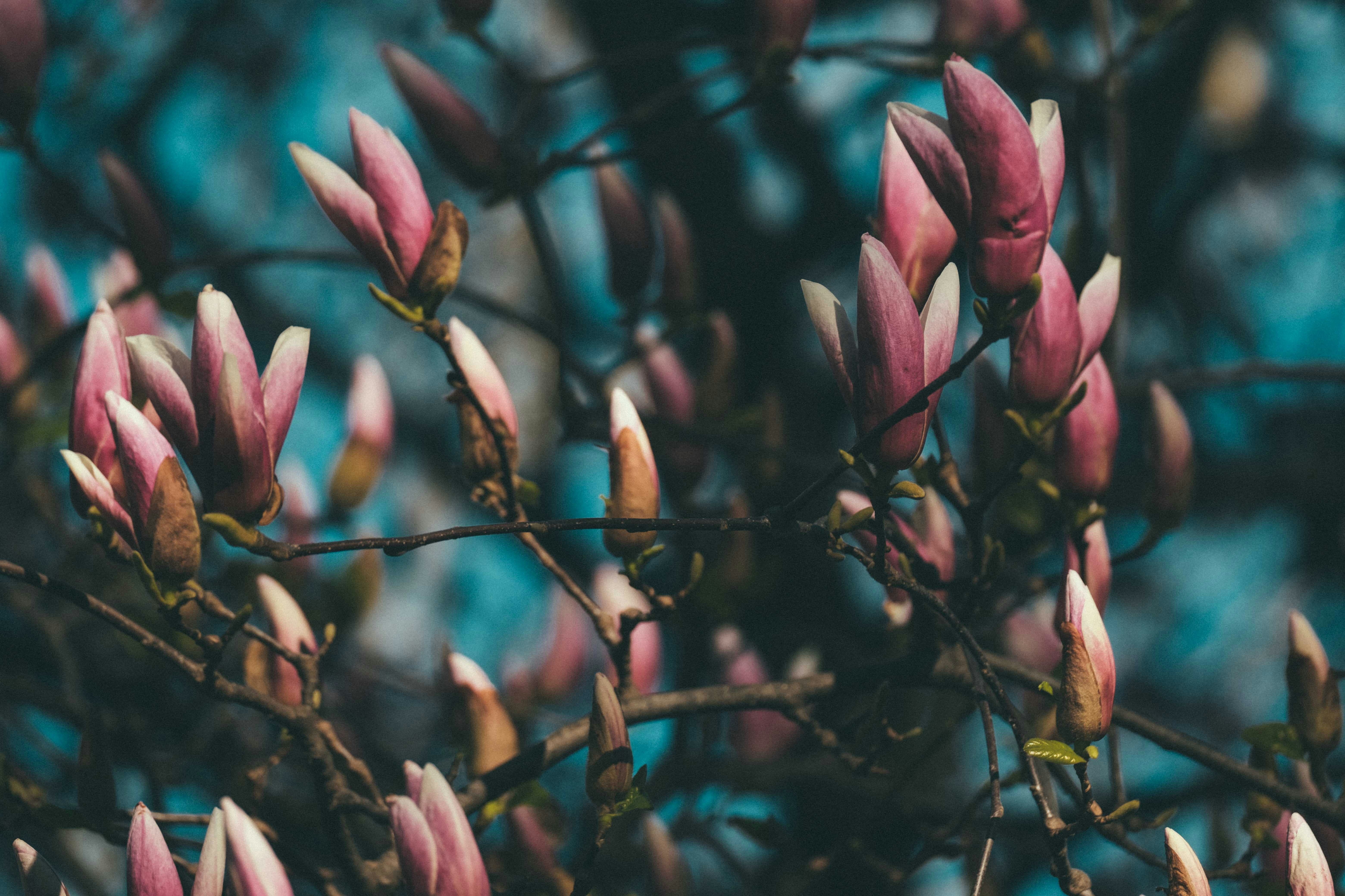 Photo by francesco_ungaro