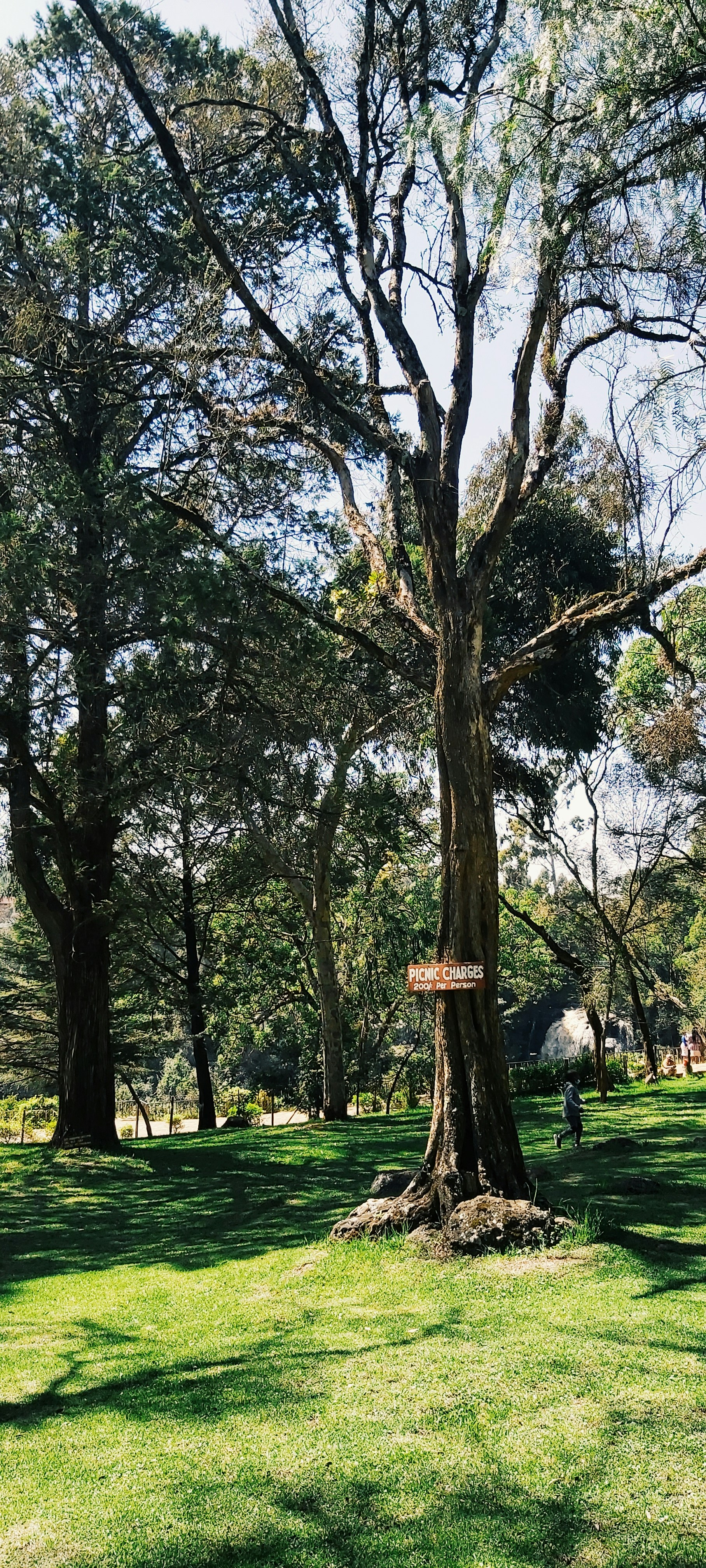 Photo by ally_sapphire