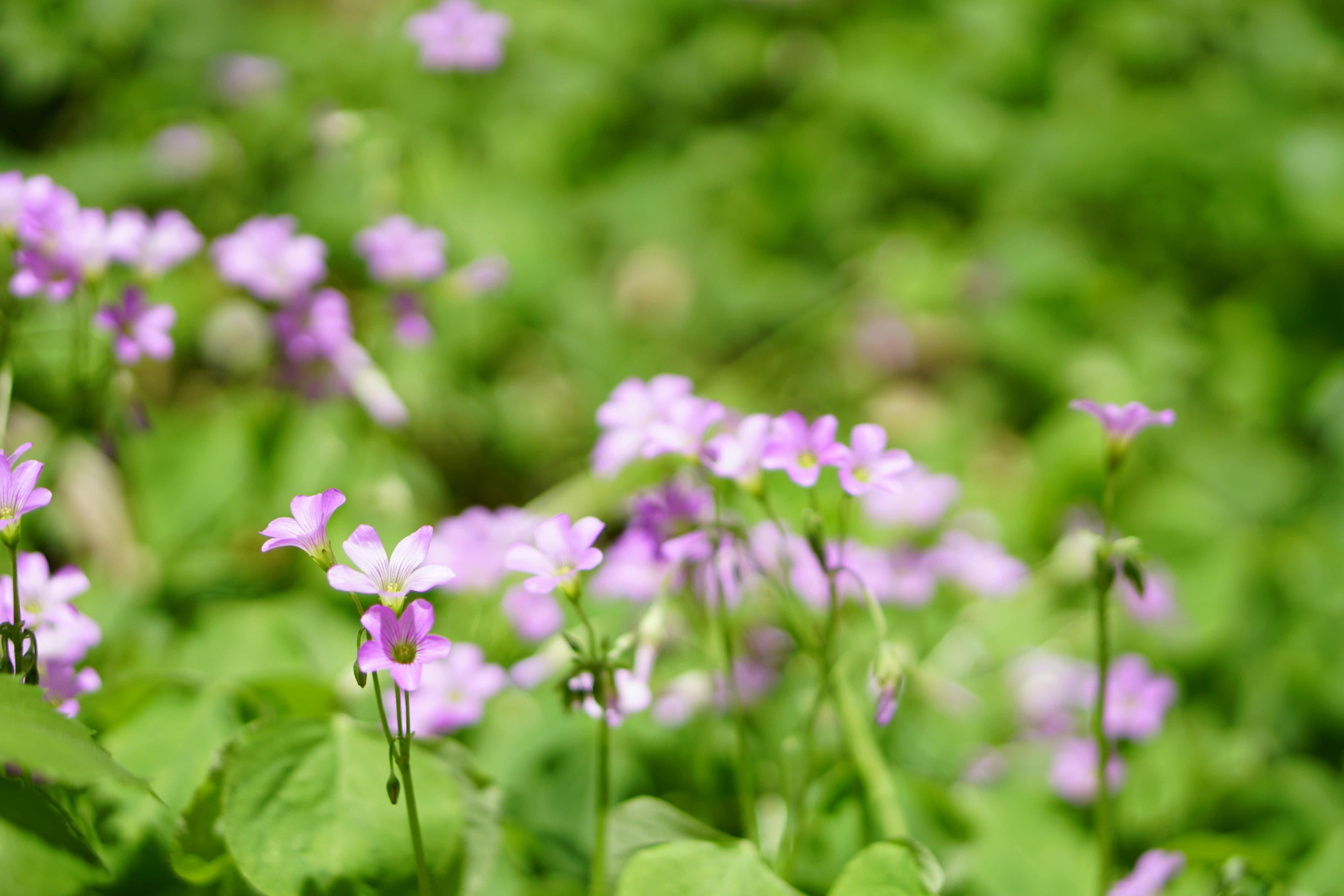 Photo by youngjun420