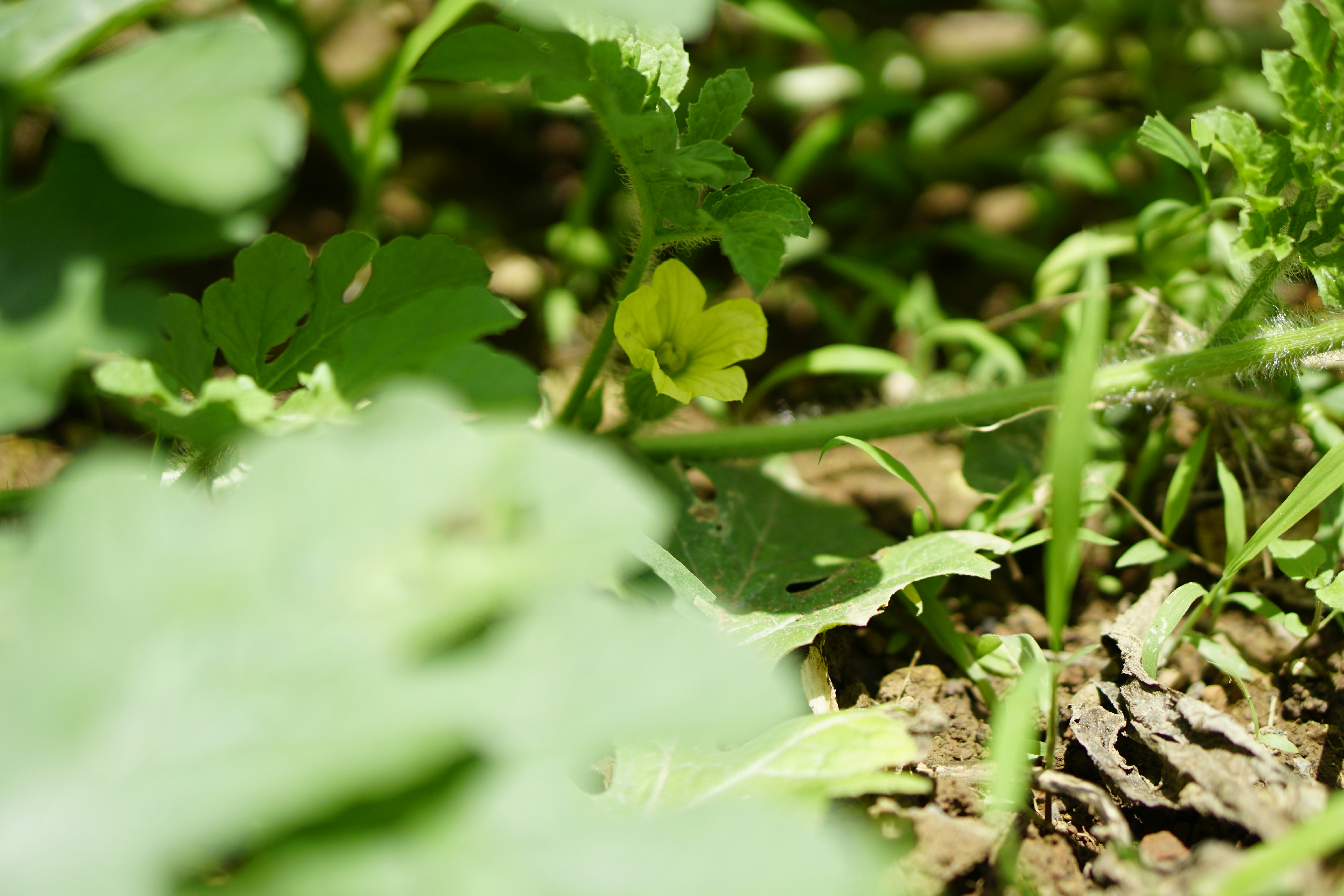 Photo by youngjun420