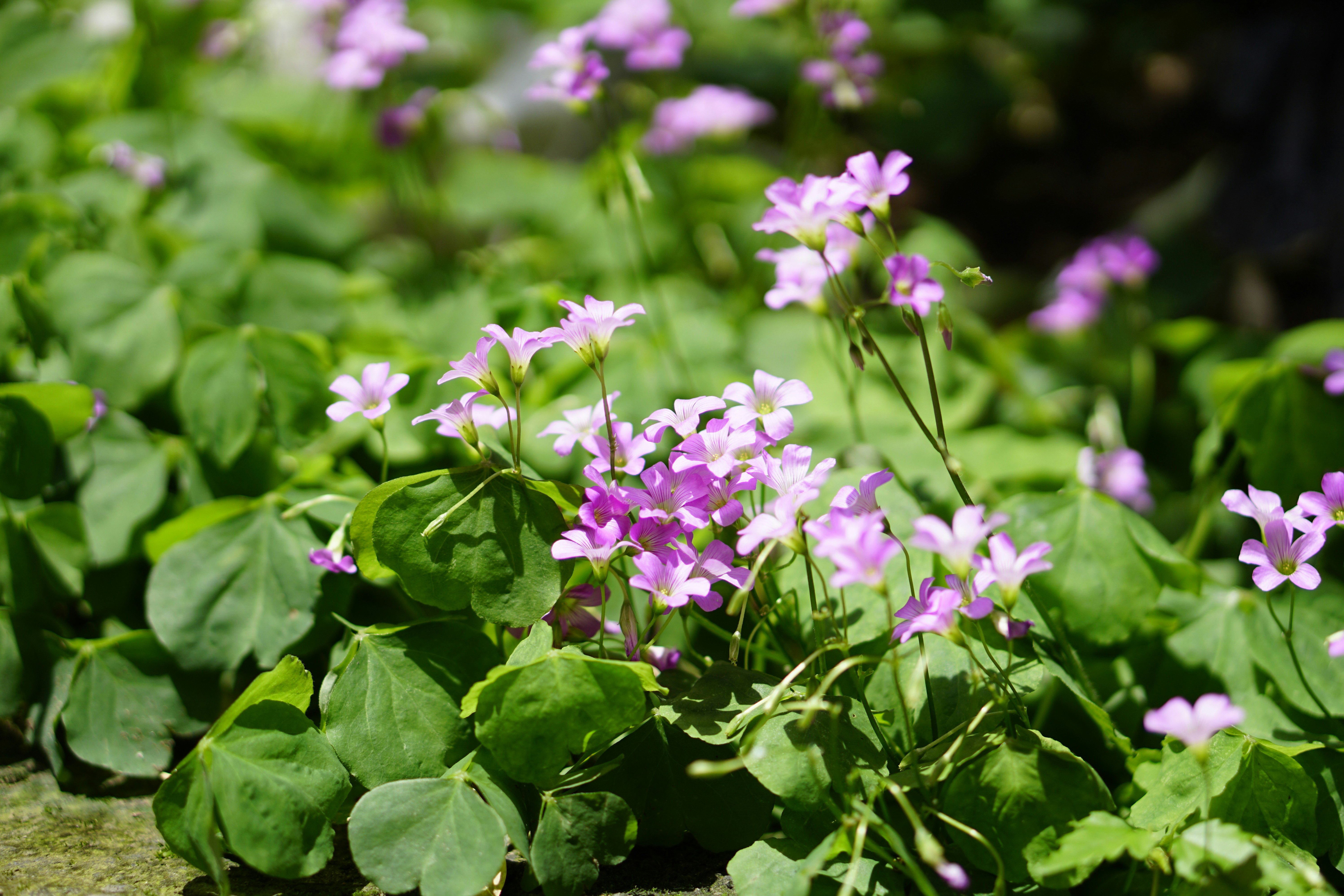 Photo by youngjun420