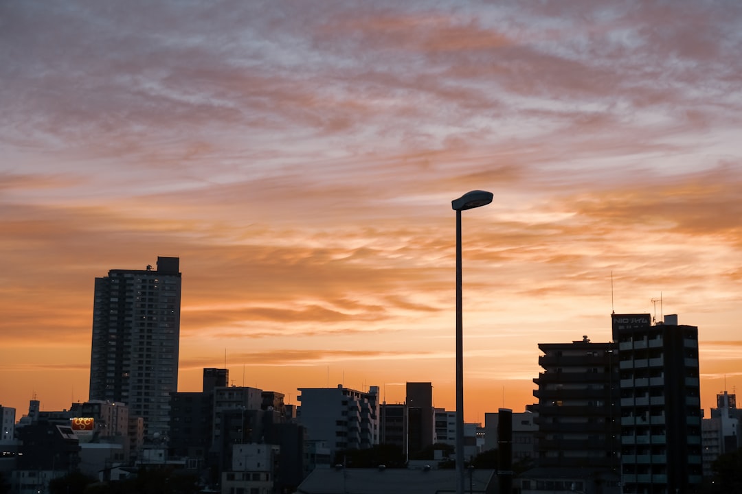 city skyline during sunset with street light