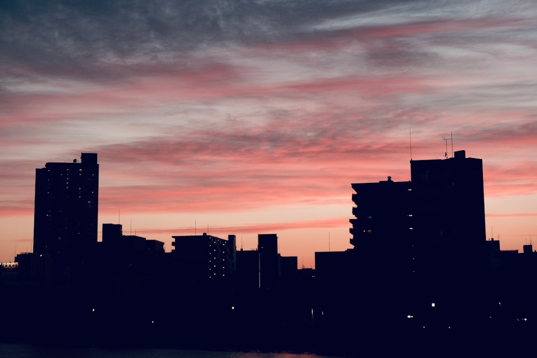 silhouette of city buildings during sunset