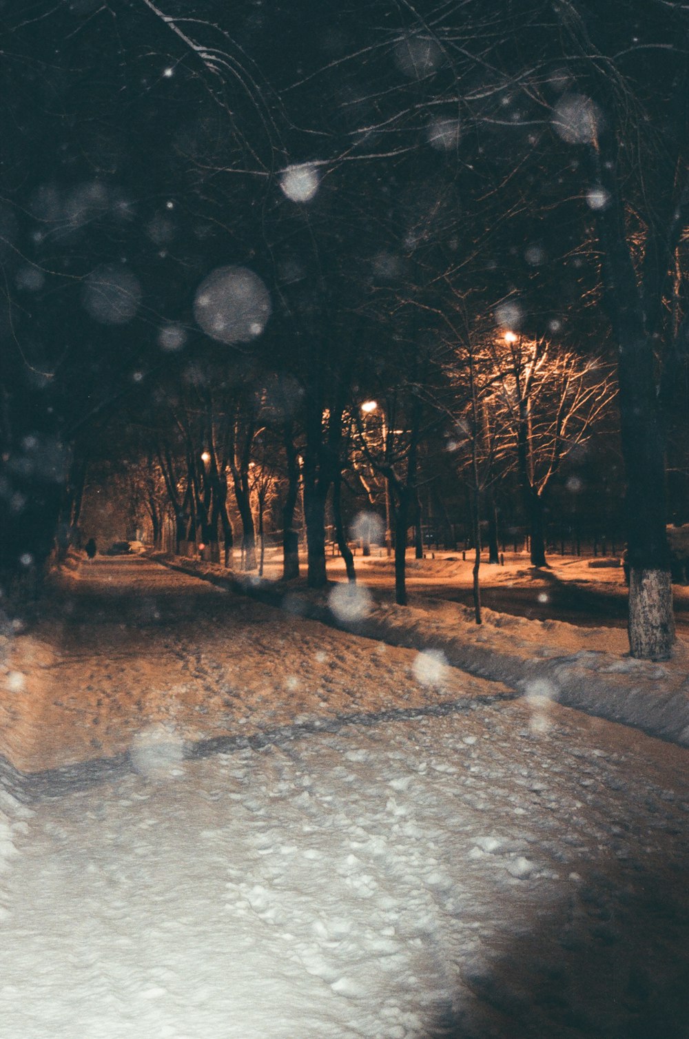 snow covered ground with trees