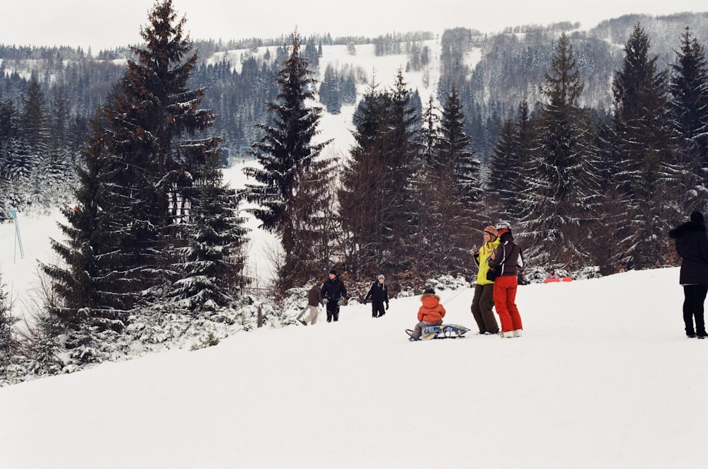 people on snow covered ground during daytime