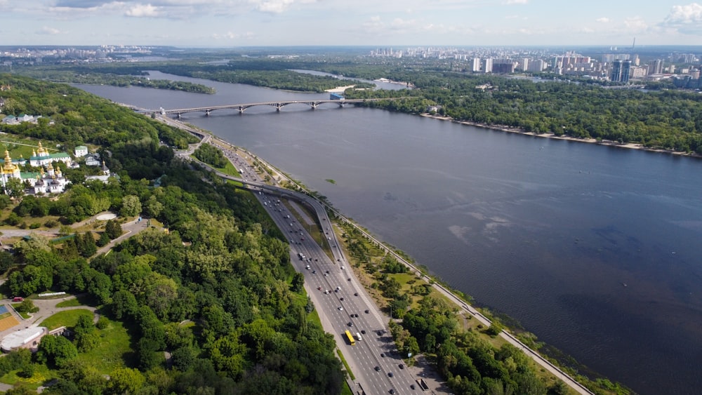 aerial view of green trees near body of water during daytime