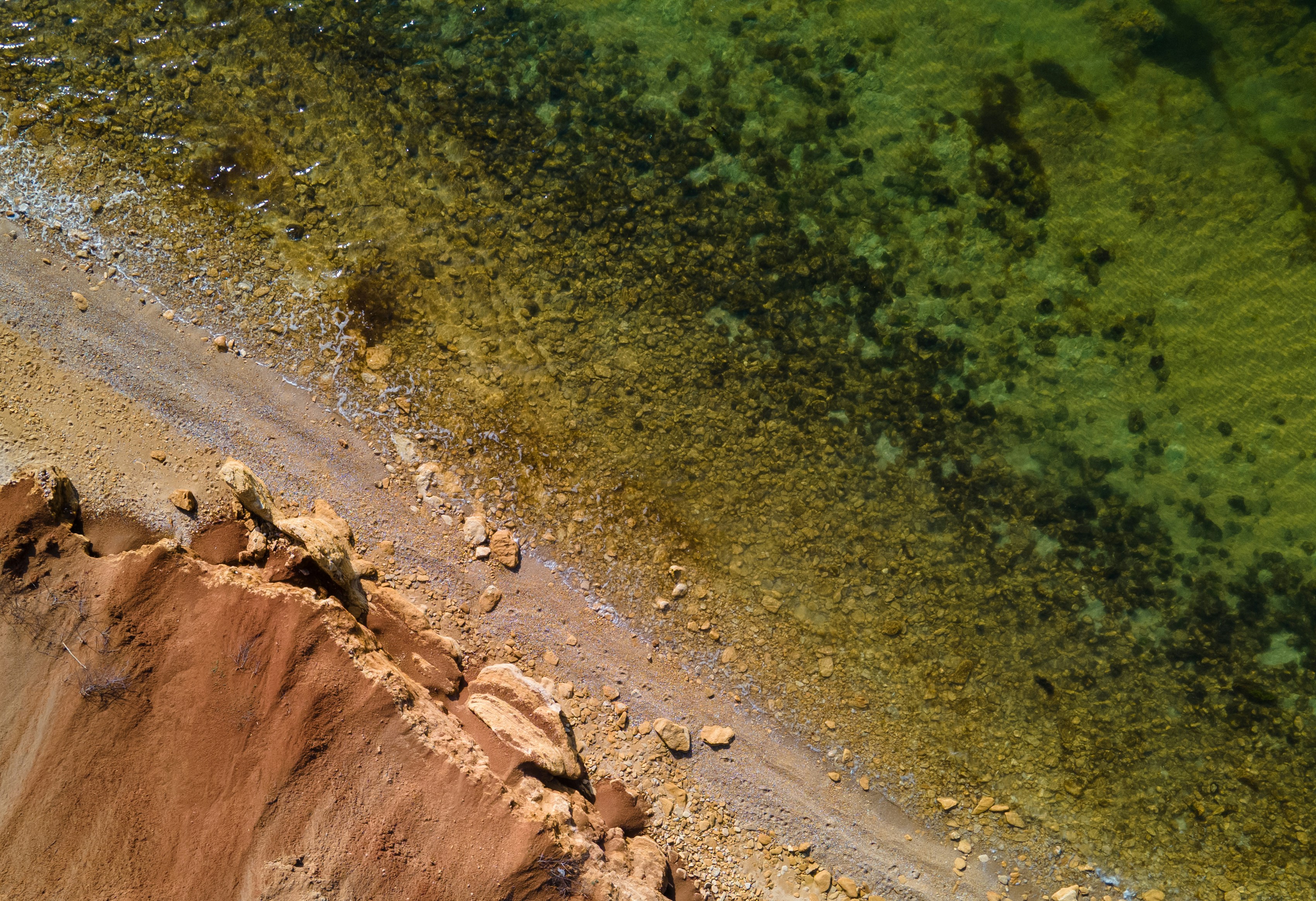 brown dirt road between green trees during daytime