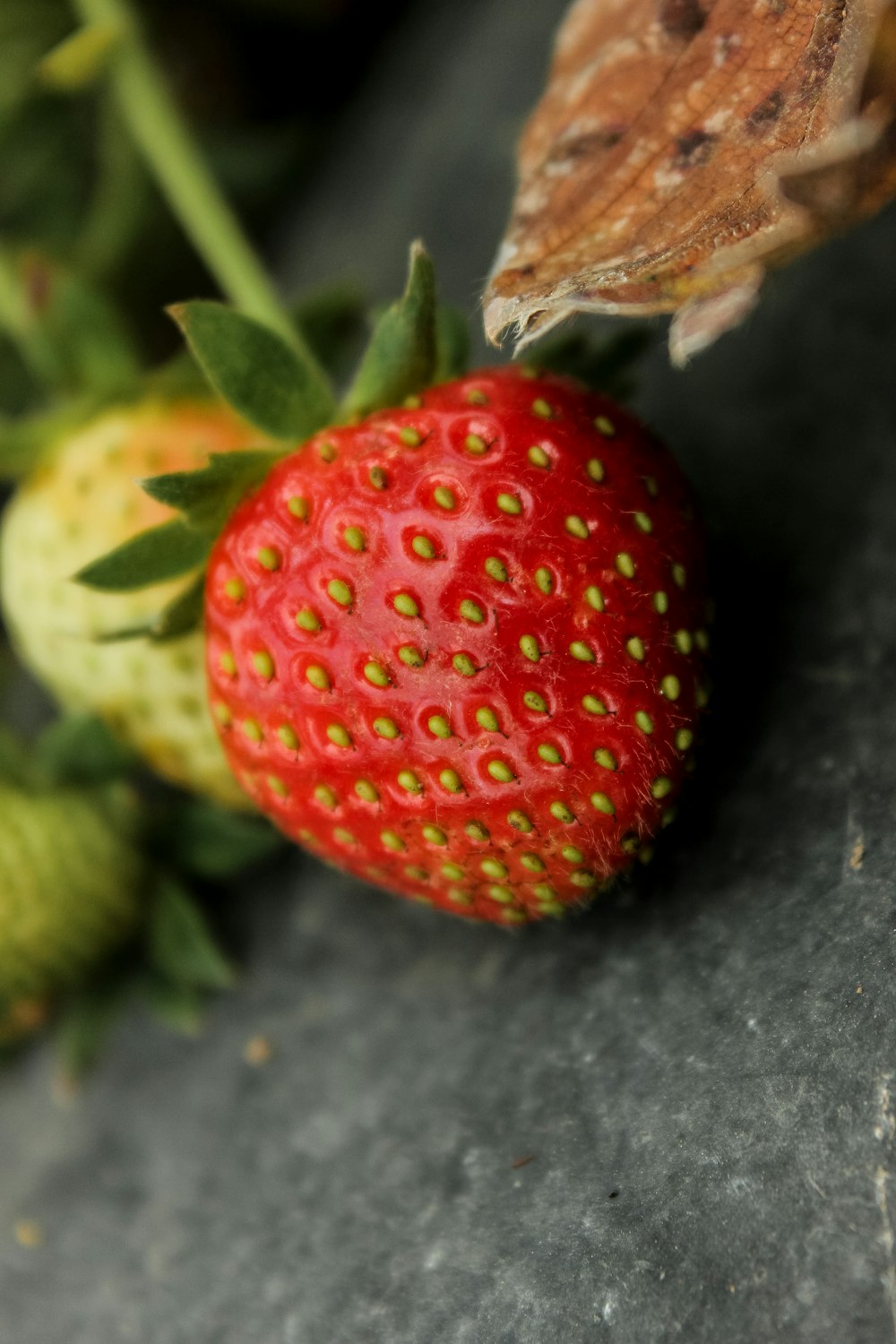 Fruto de fresa roja sobre superficie negra