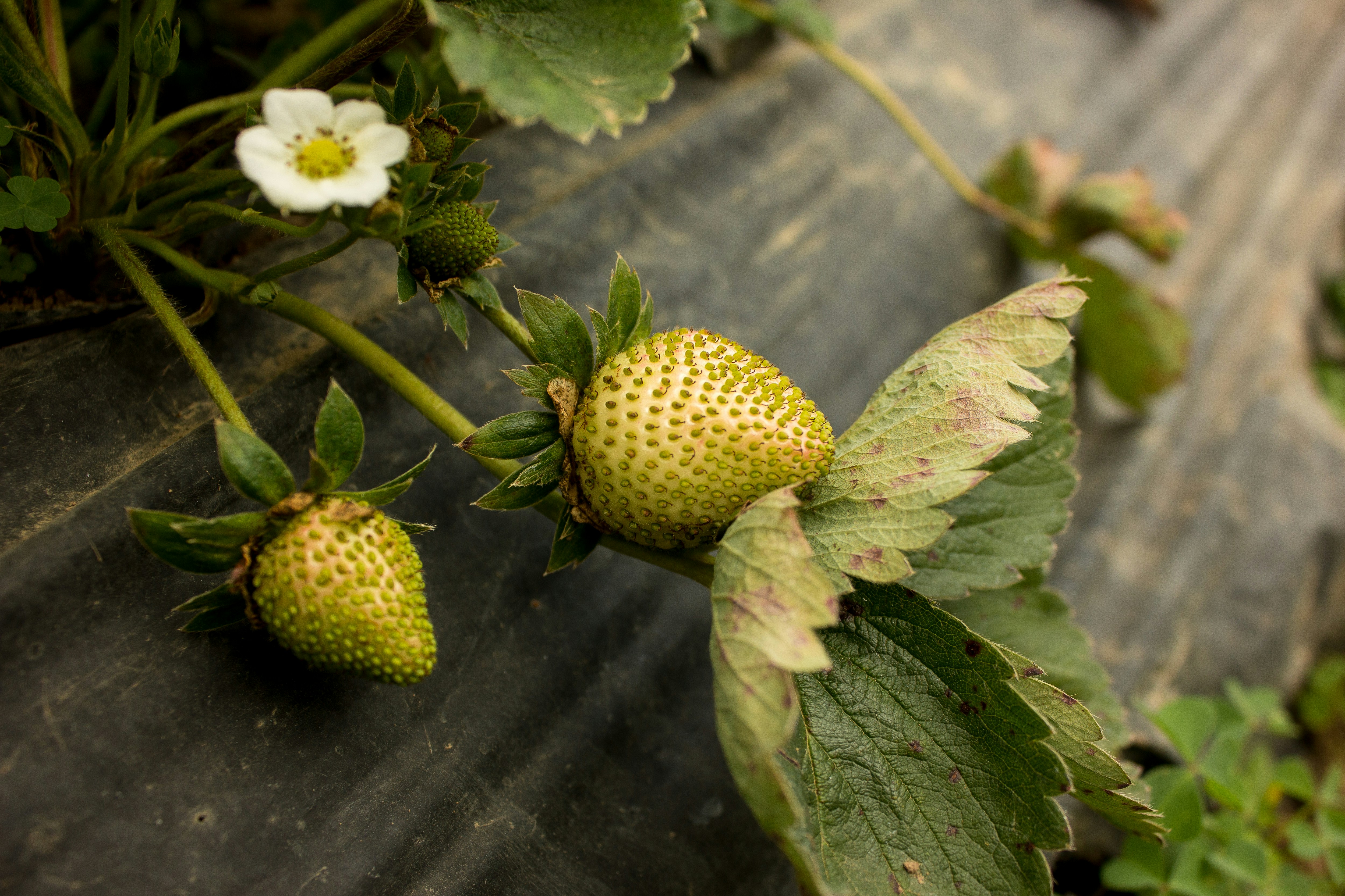 Photo by mahdiyaaqila