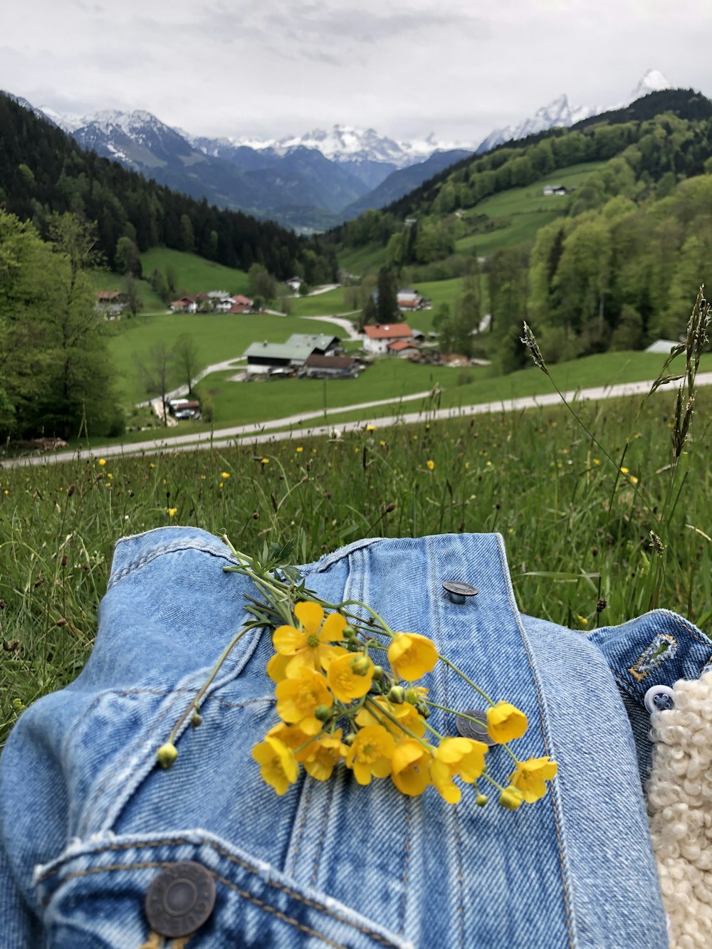 yellow flowers on blue denim jeans