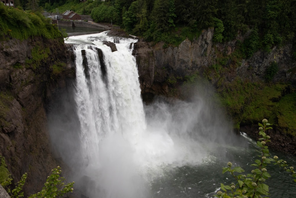 waterfalls in the middle of the forest