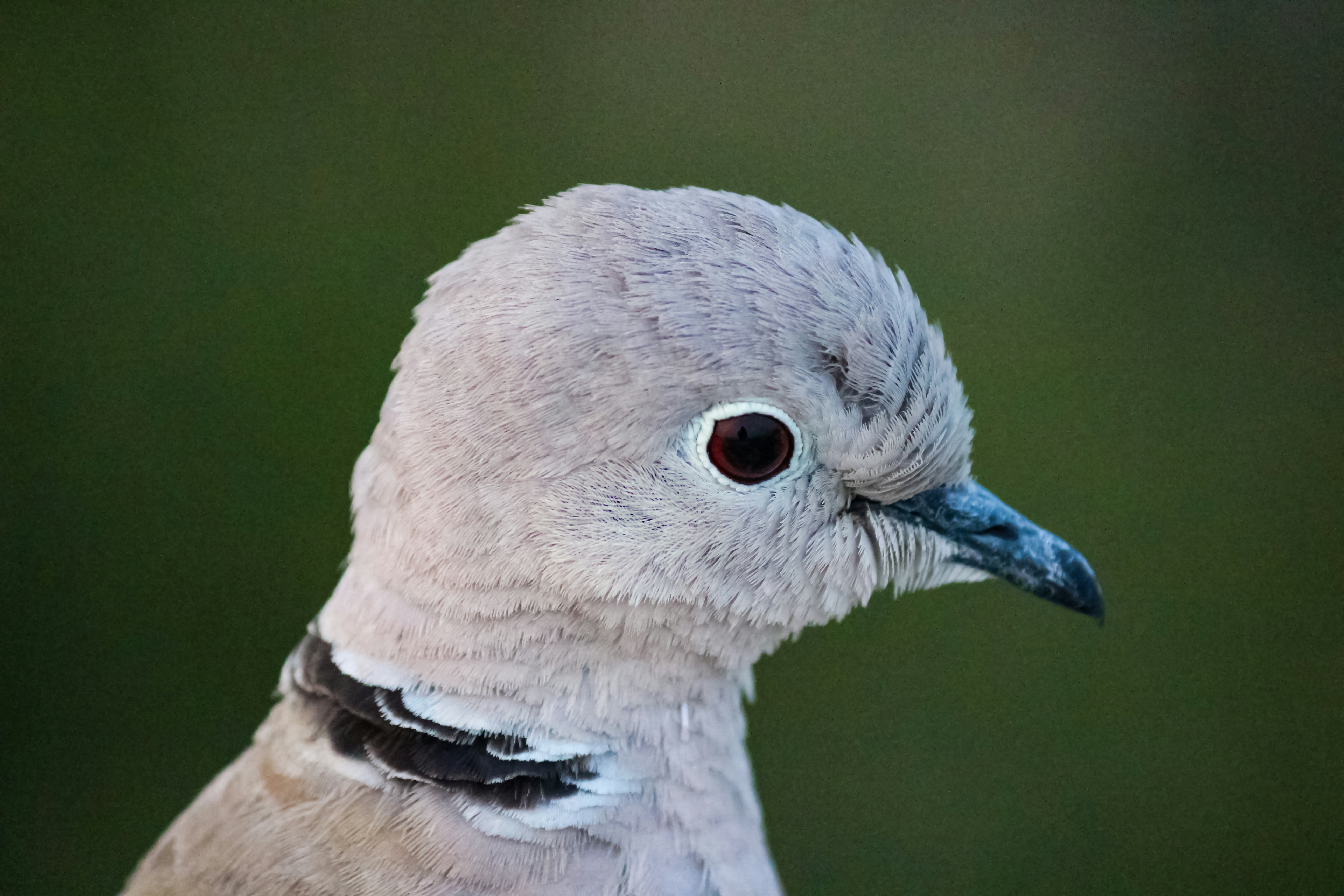 Photo by im_manishupadhyay