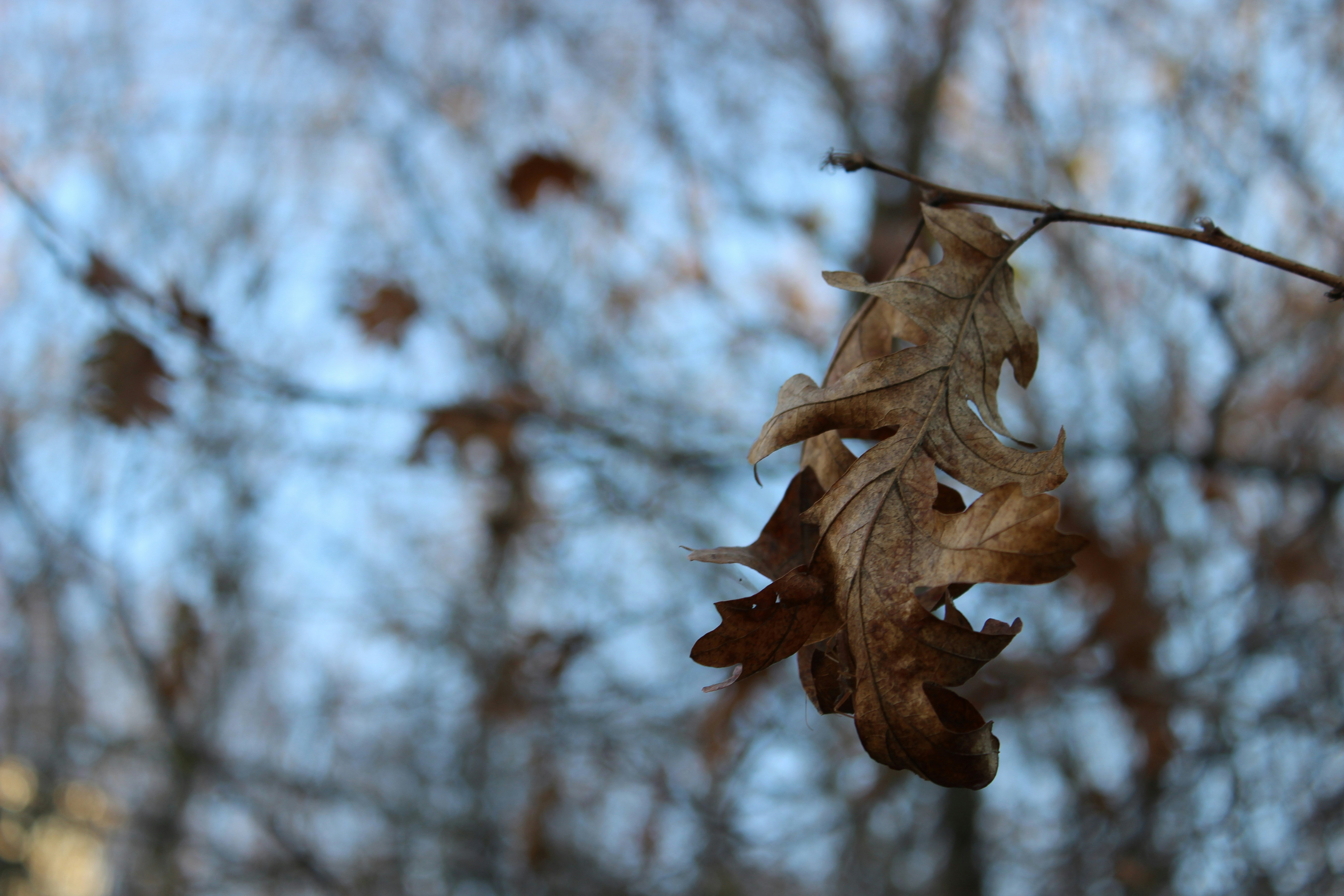 Photo by cansindogaalis