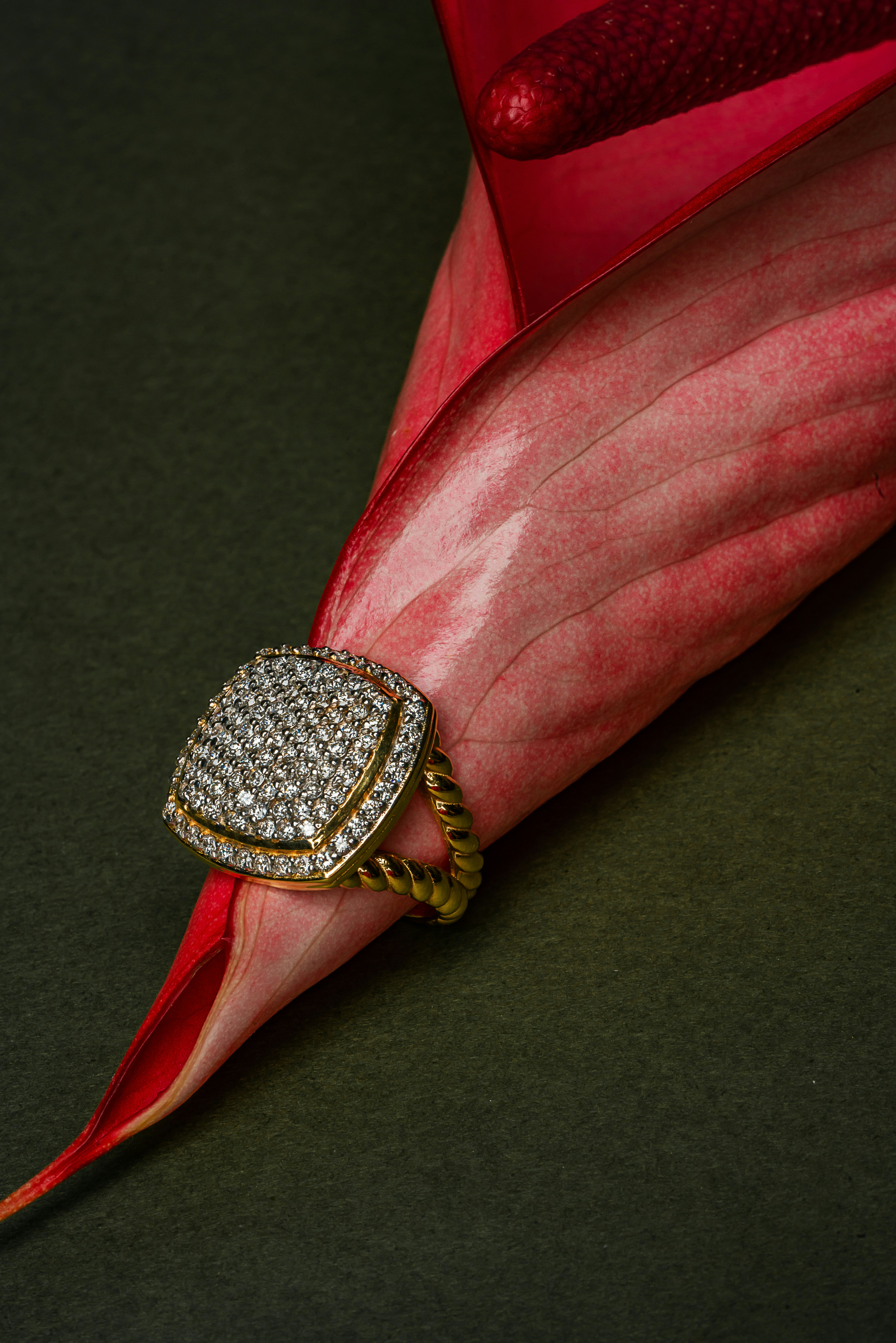 Photo by ardalanhamedani