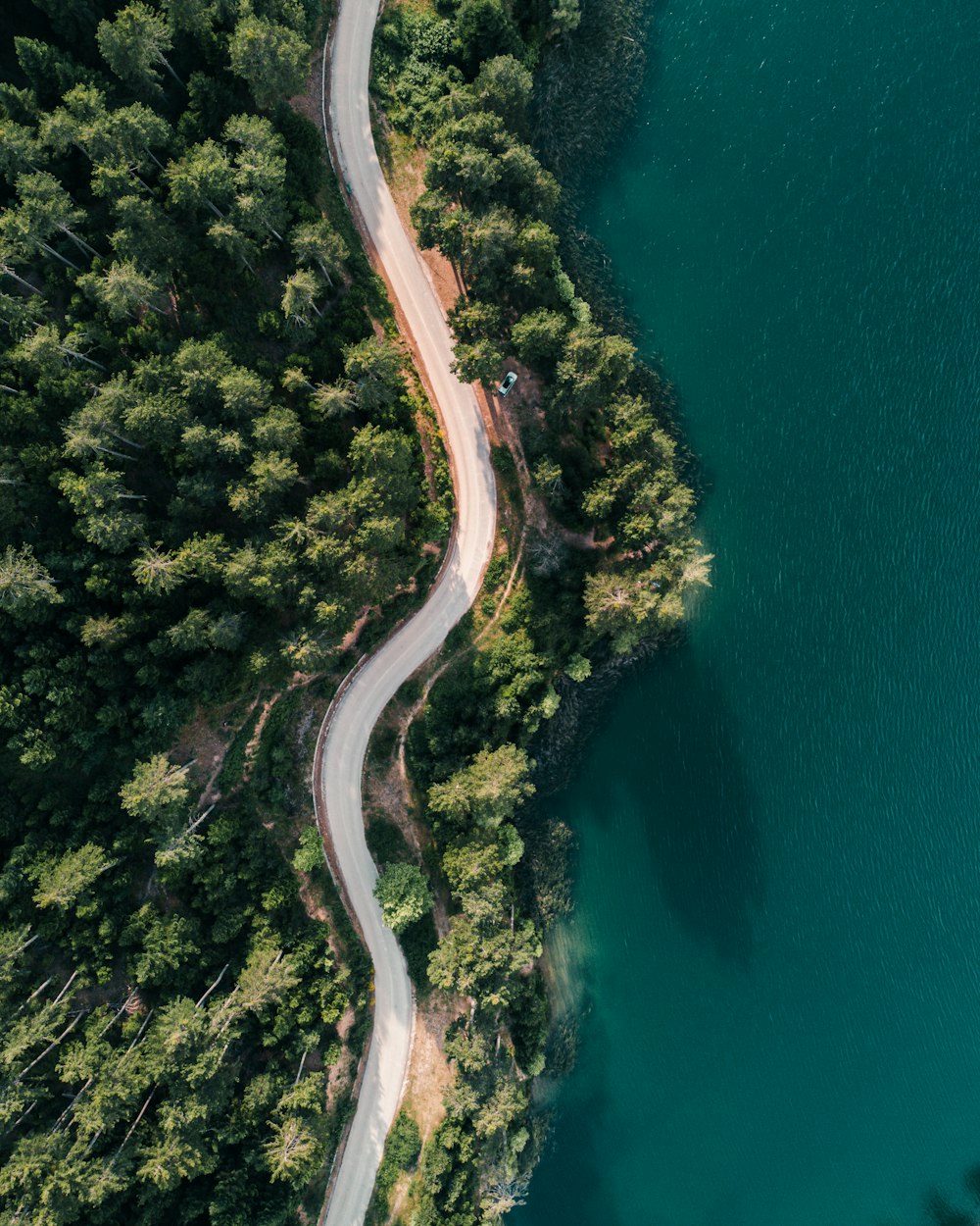 日中の水域脇の道路の航空写真