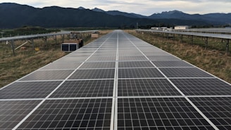 black solar panels on green grass field during daytime